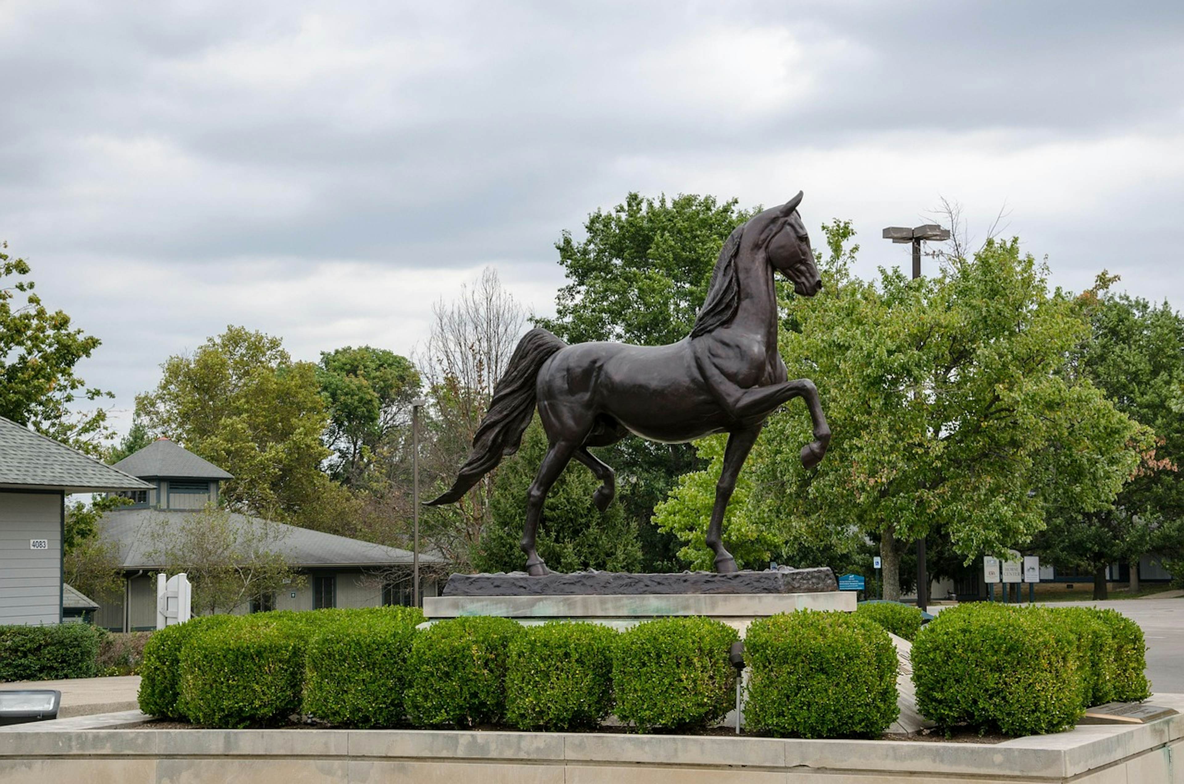 Lexington image