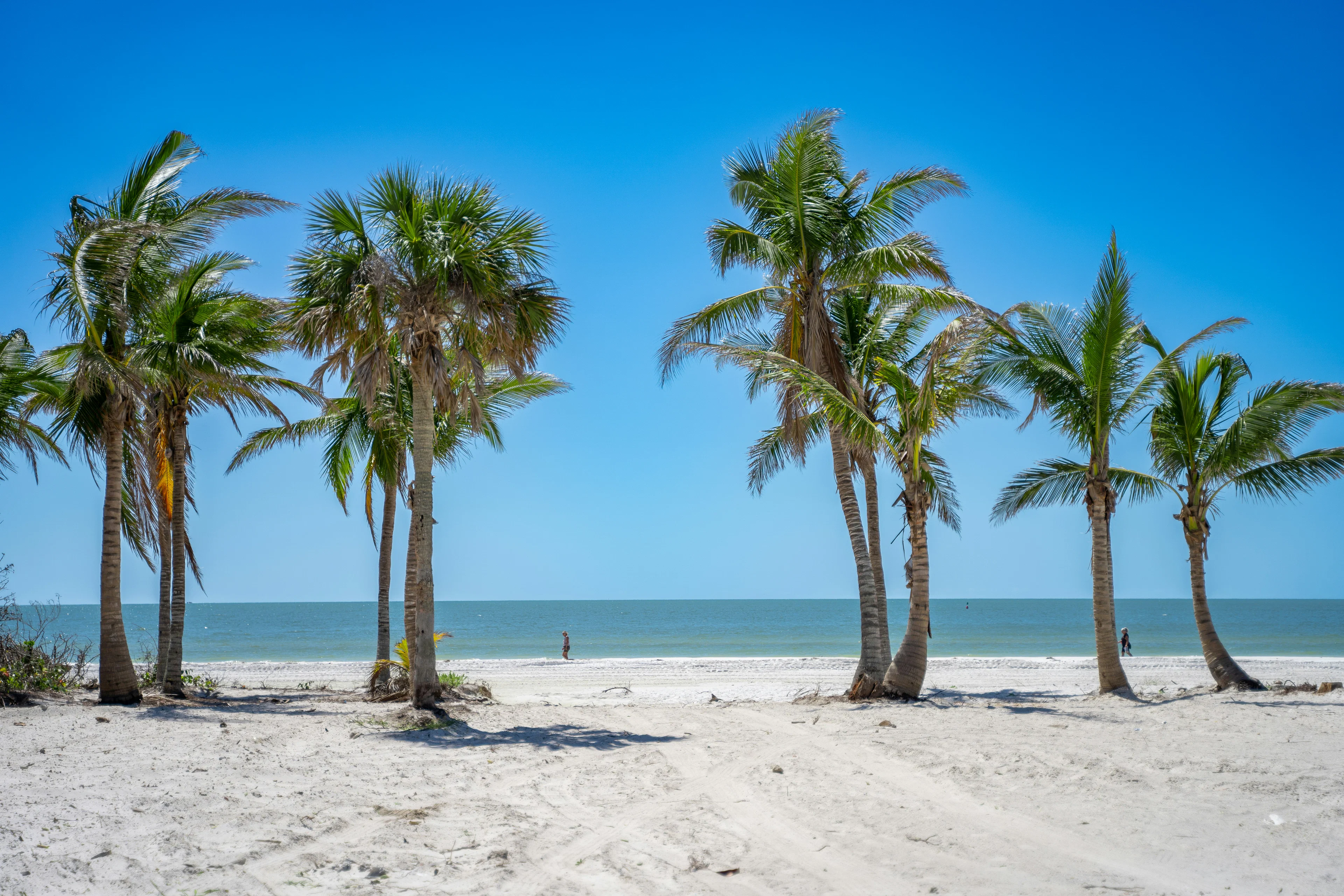 Speurtochten in Naples, Florida