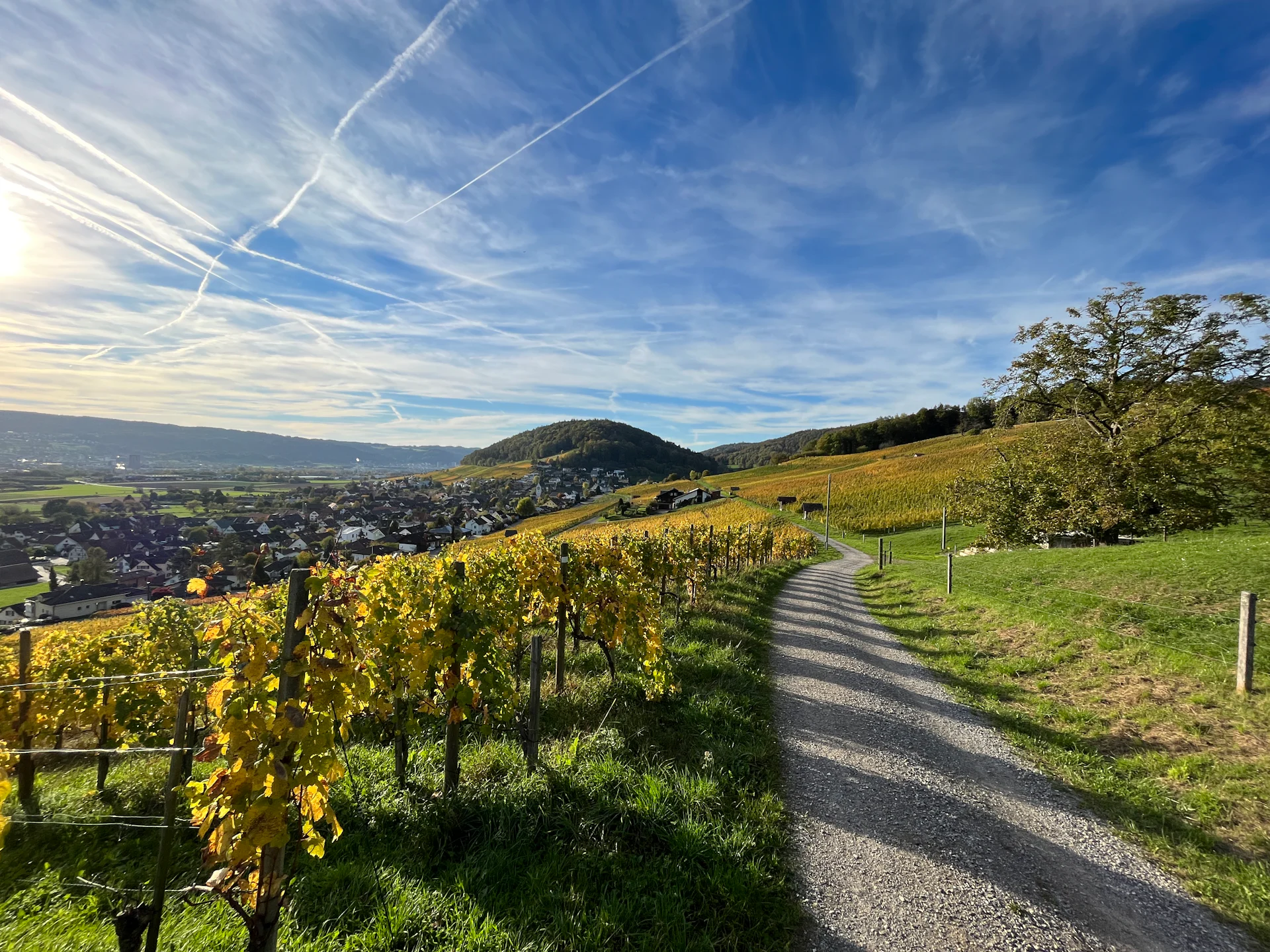 Búsquedas del tesoro en Weiningen
