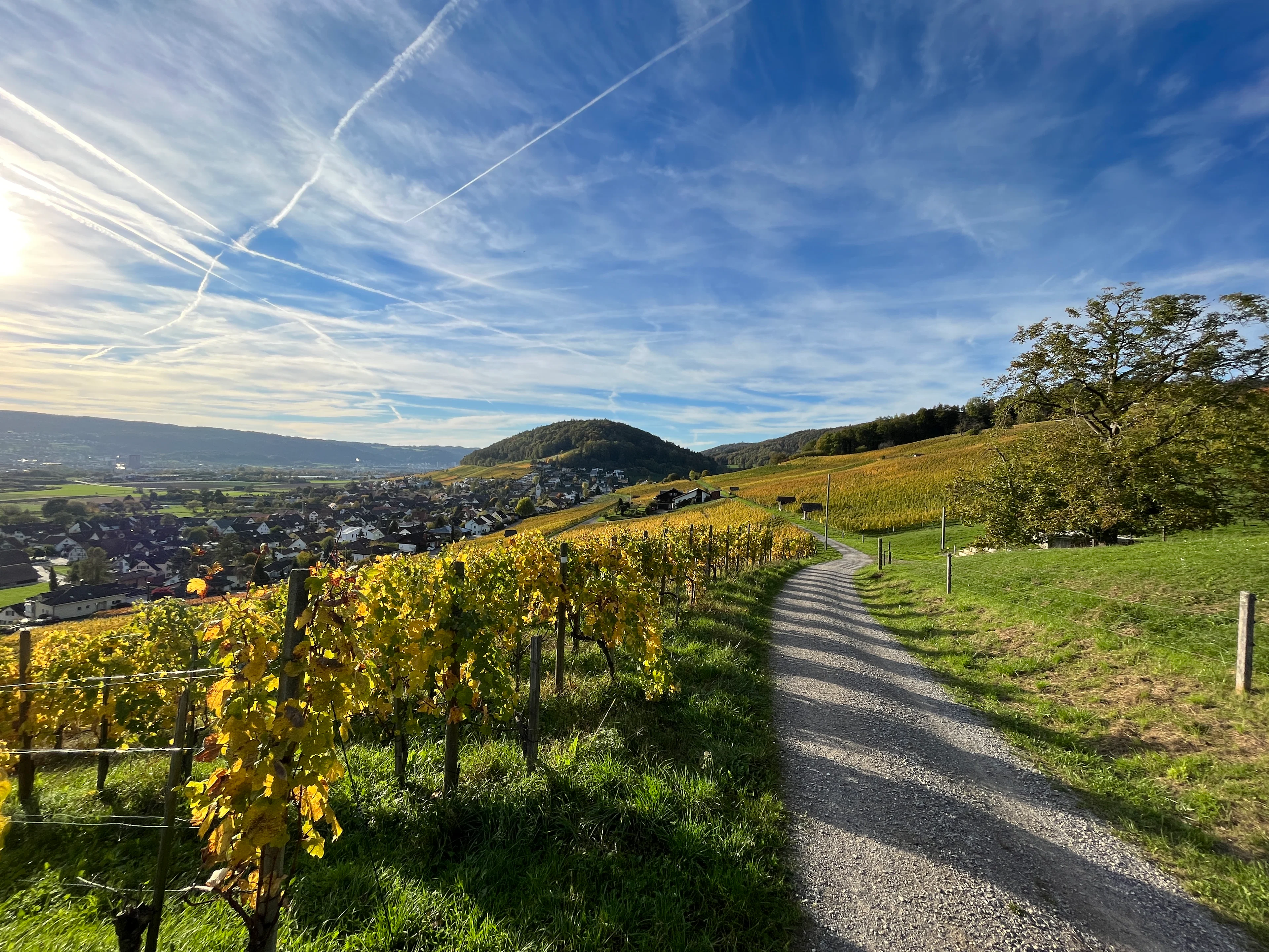 Walking tours in Weiningen