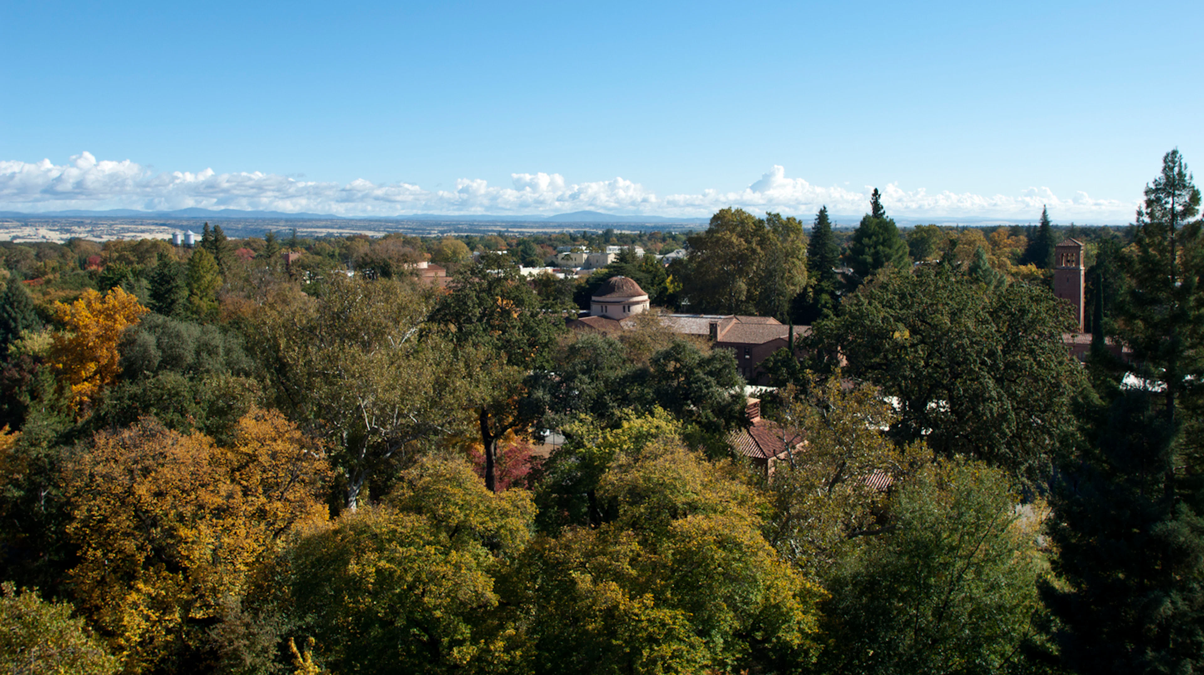 Stadtspaziergänge in Chico