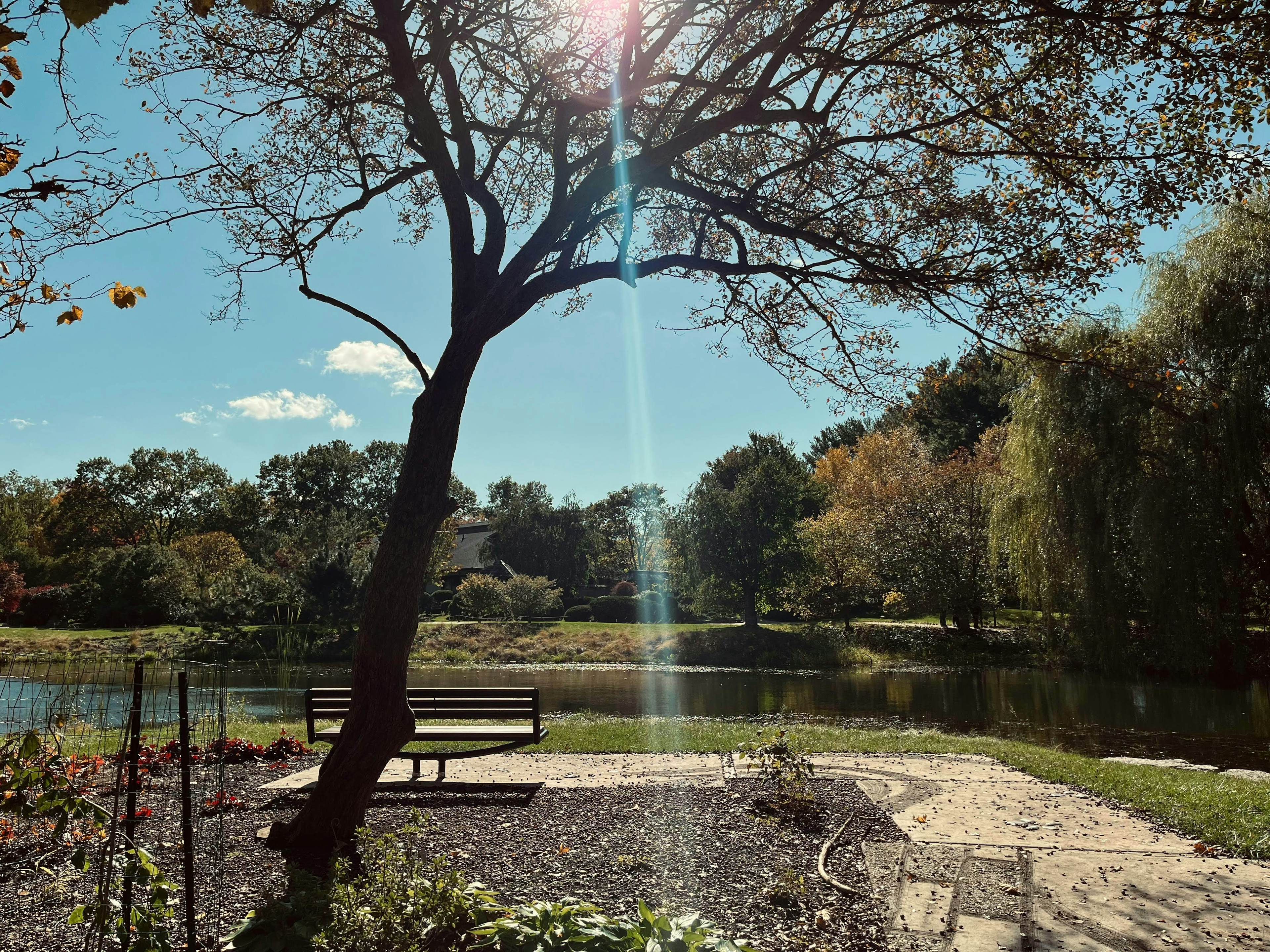 Champaign image