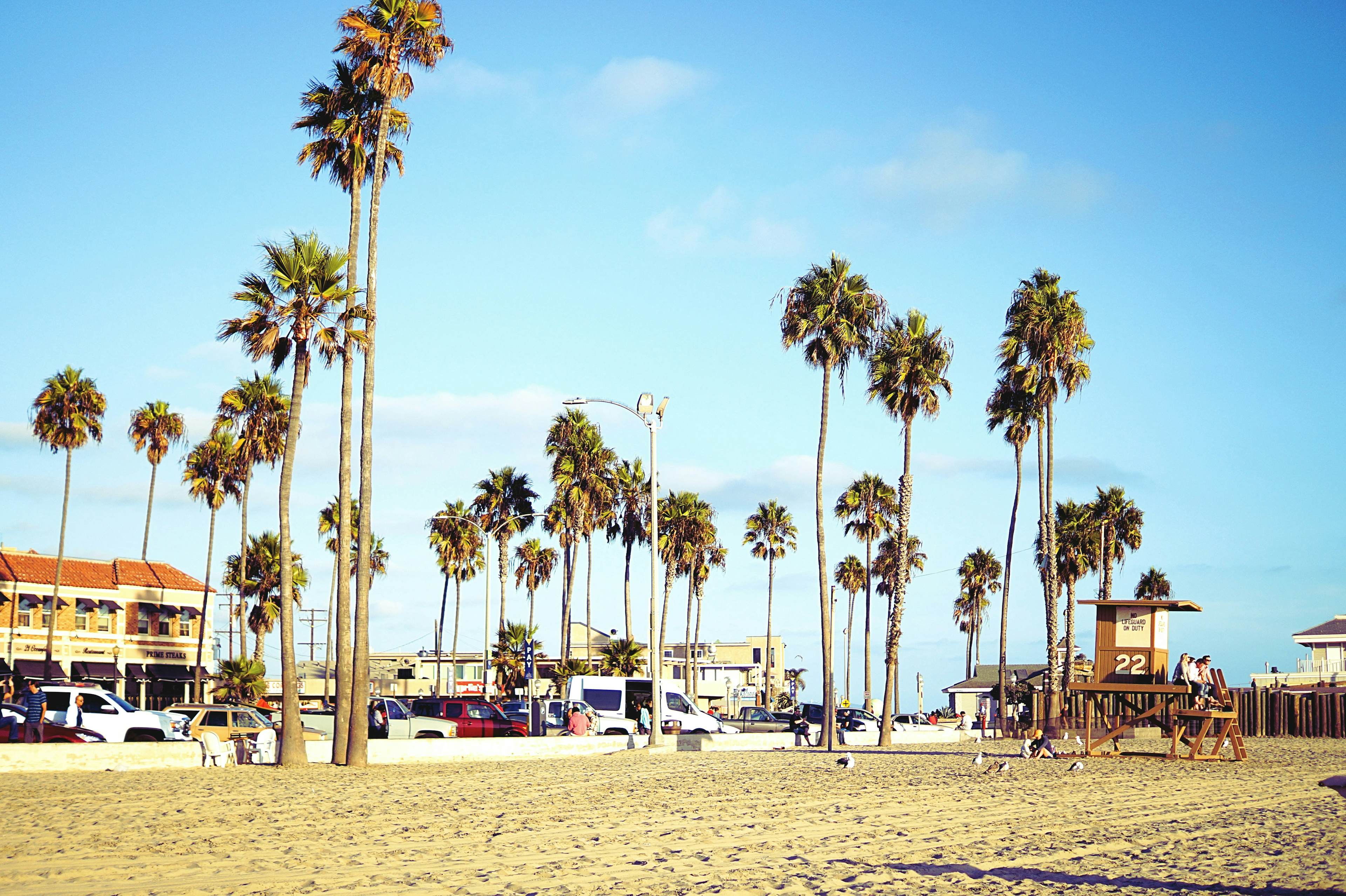 Santa Ana image
