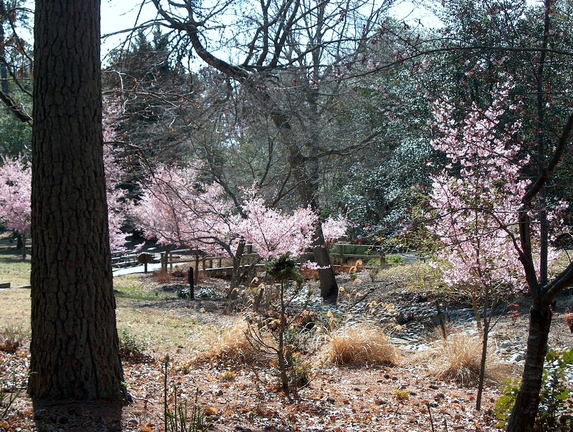 Wandeltours in Newport News