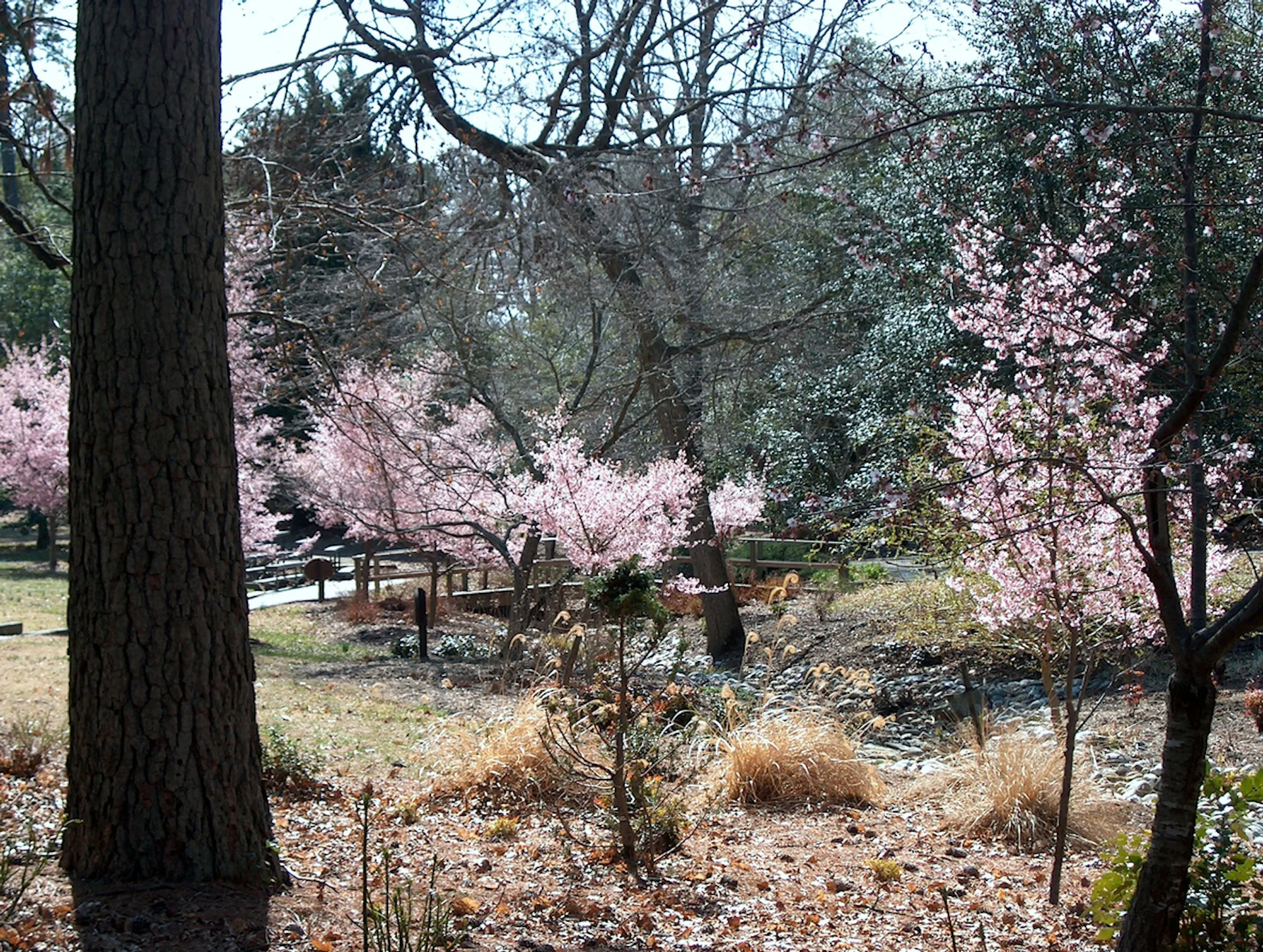 Walking tours in Newport News