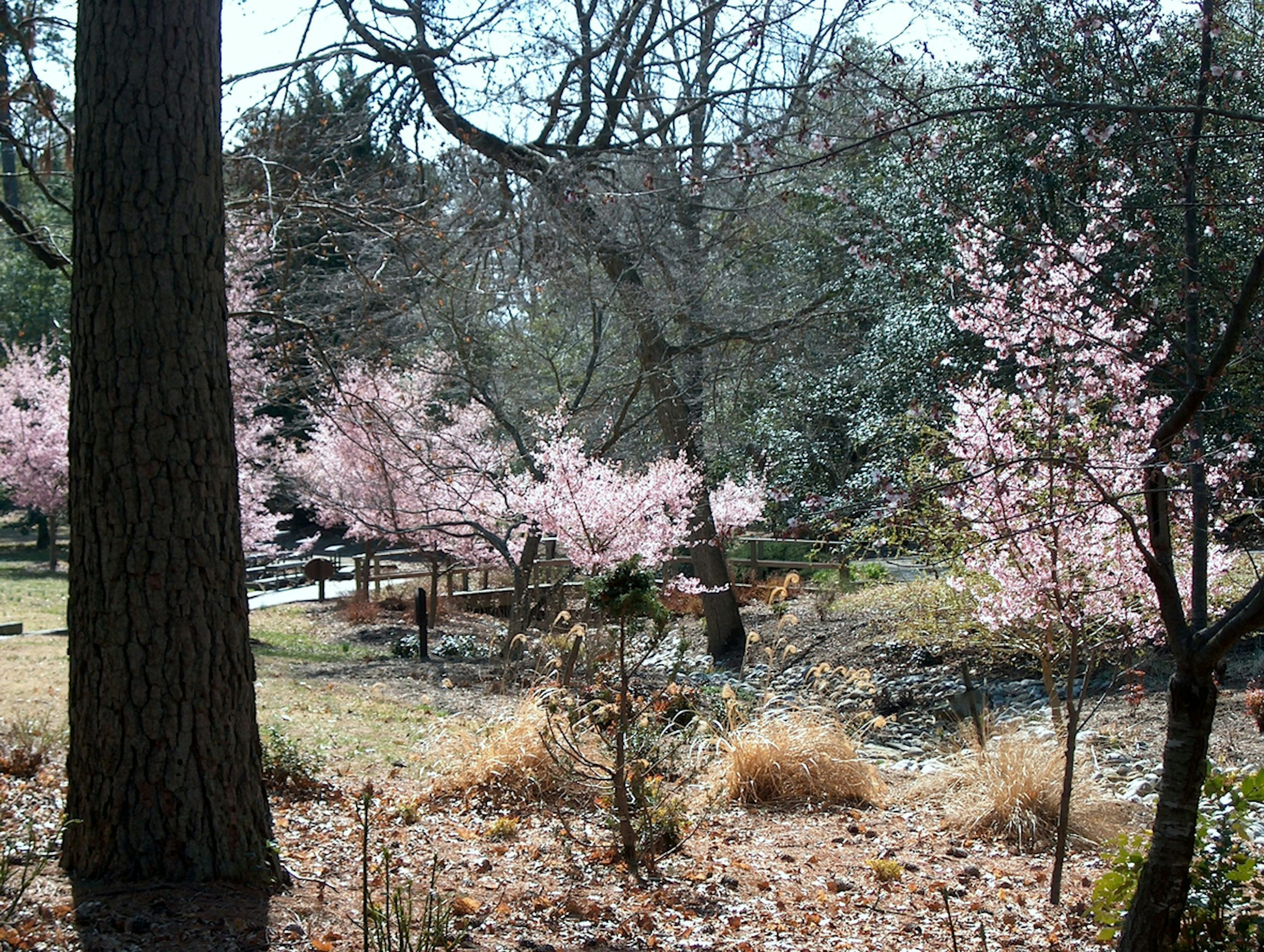 Wandeltours in Newport News