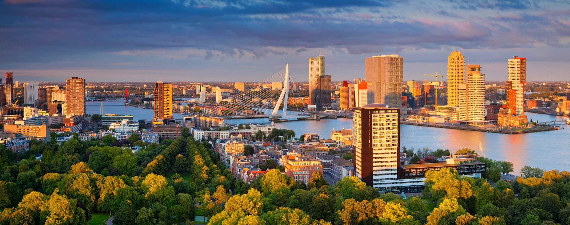 Walking tours in Rotterdam