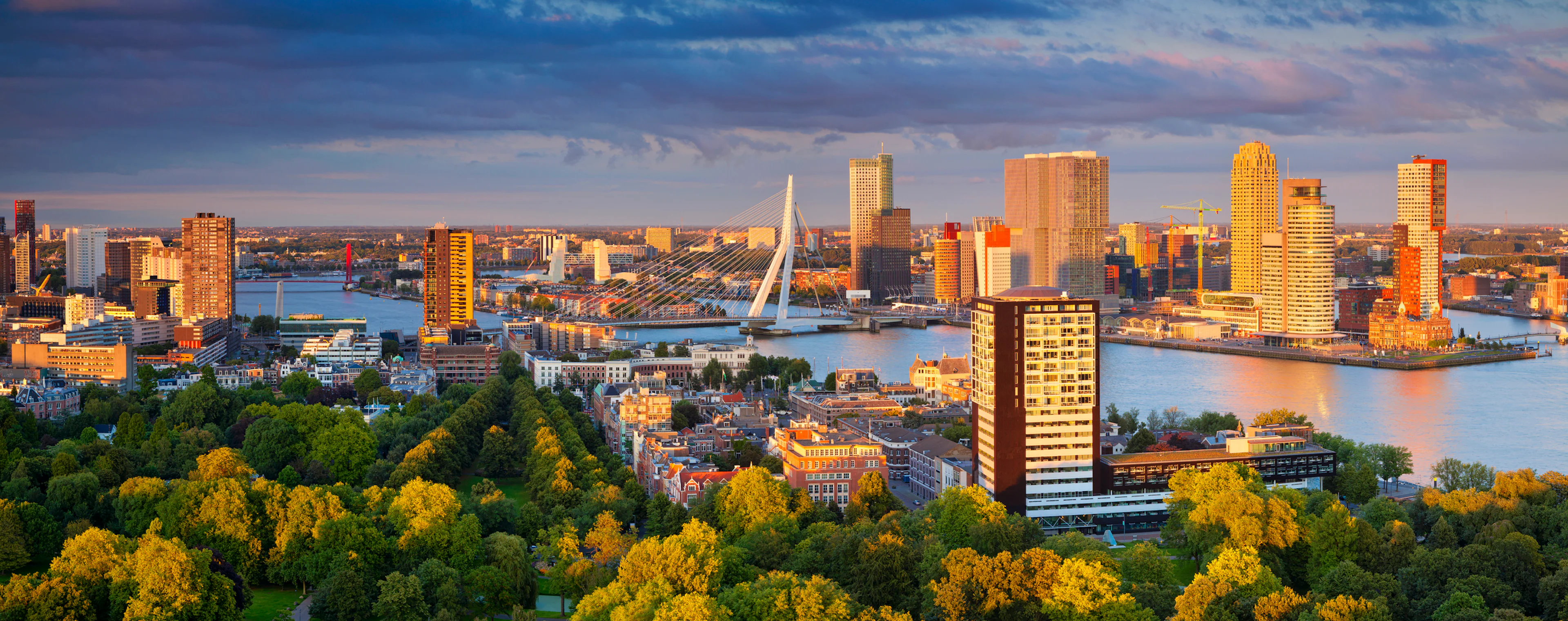 Walking tours in Rotterdam