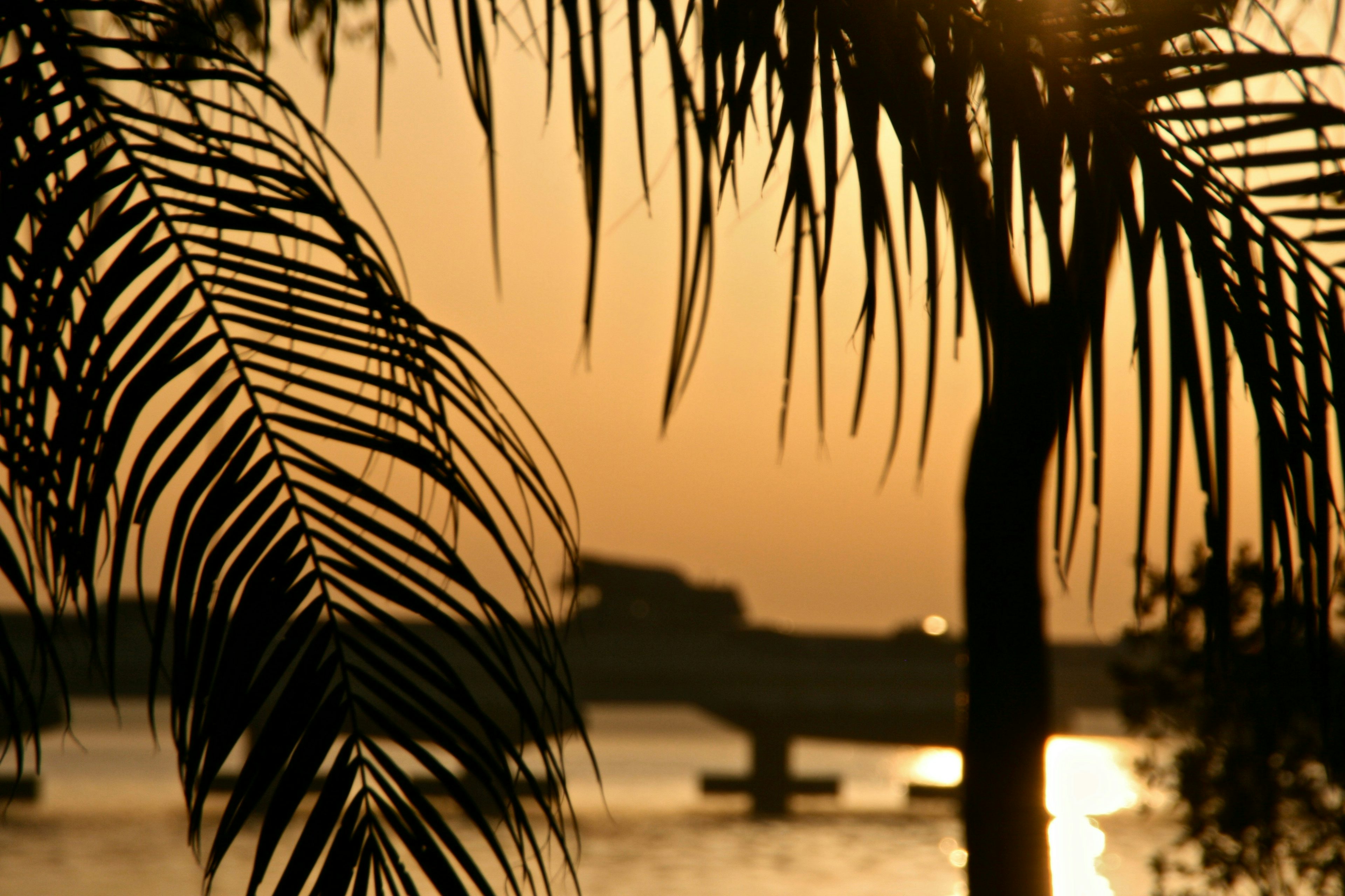 Cacce al tesoro a Cape Coral