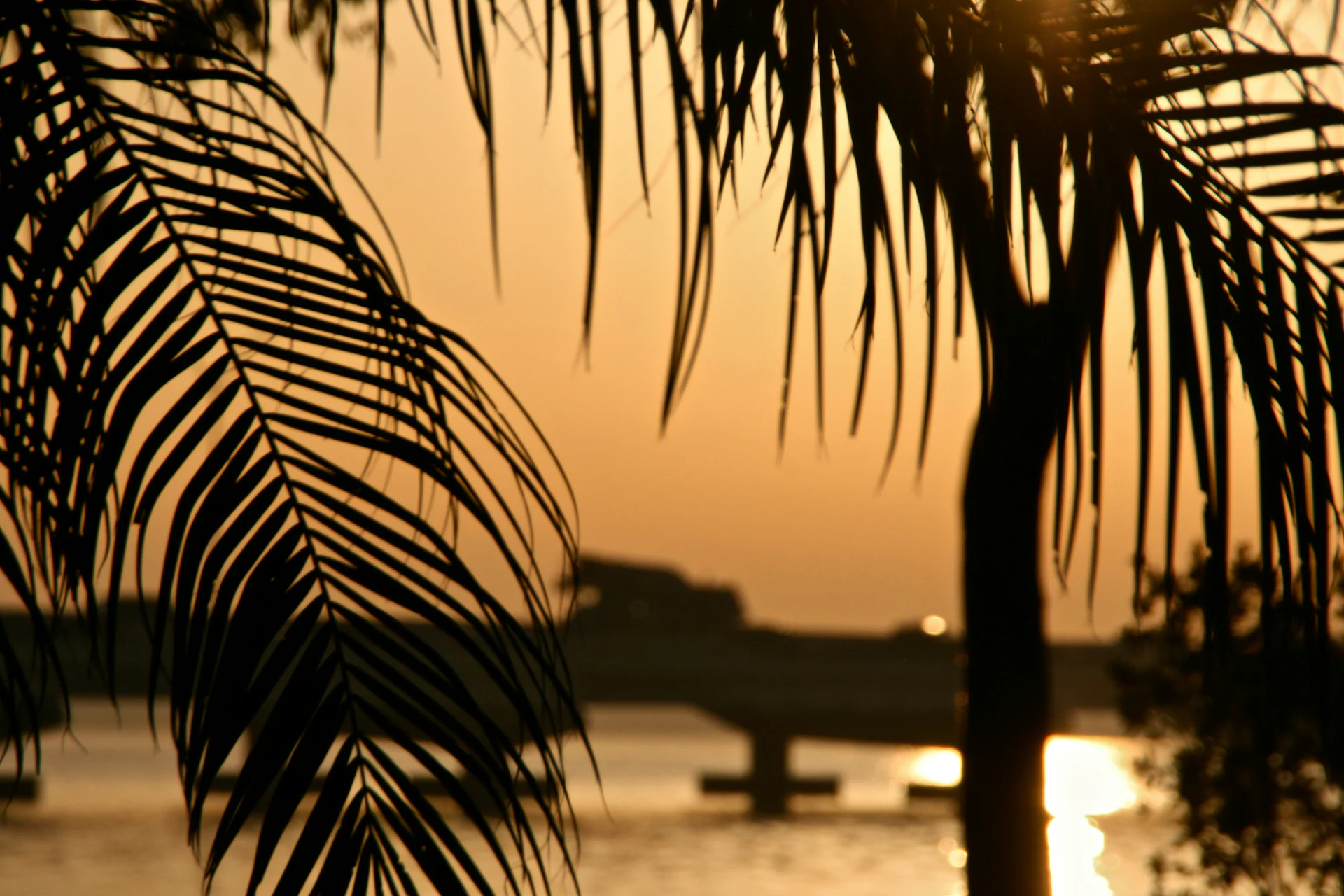 Caças ao tesouro em Cape Coral