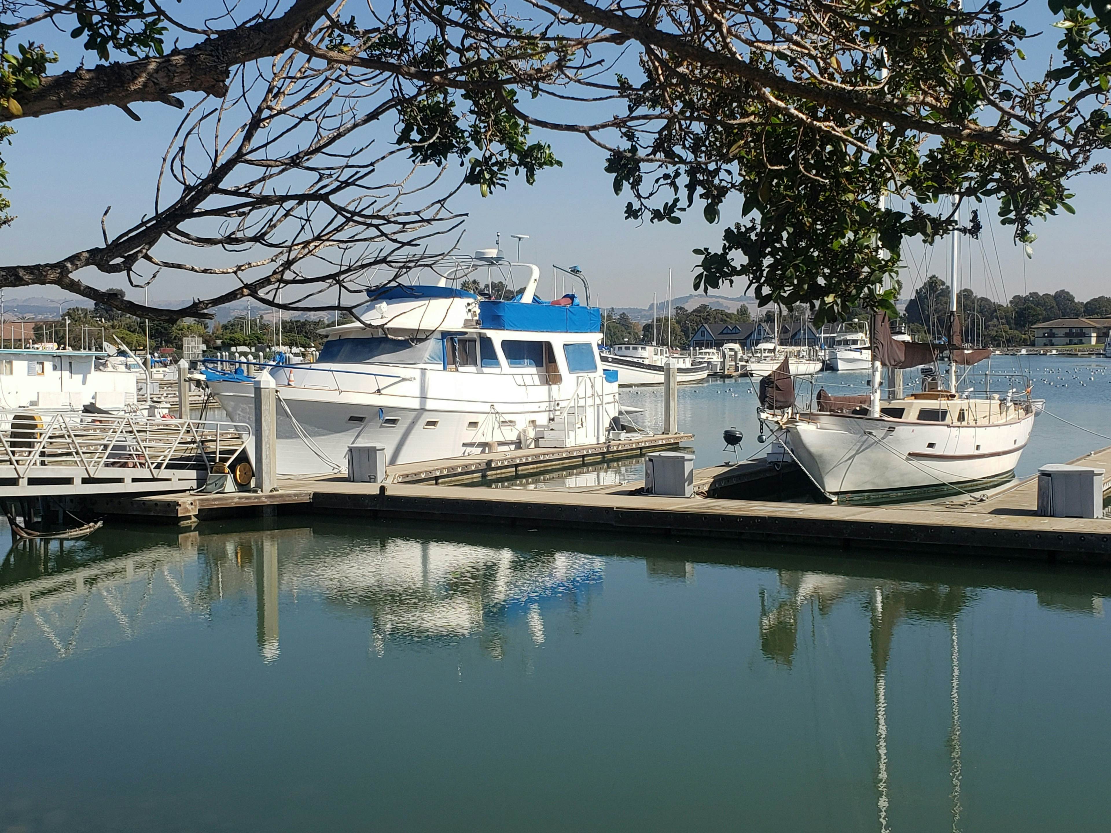 San Leandro image