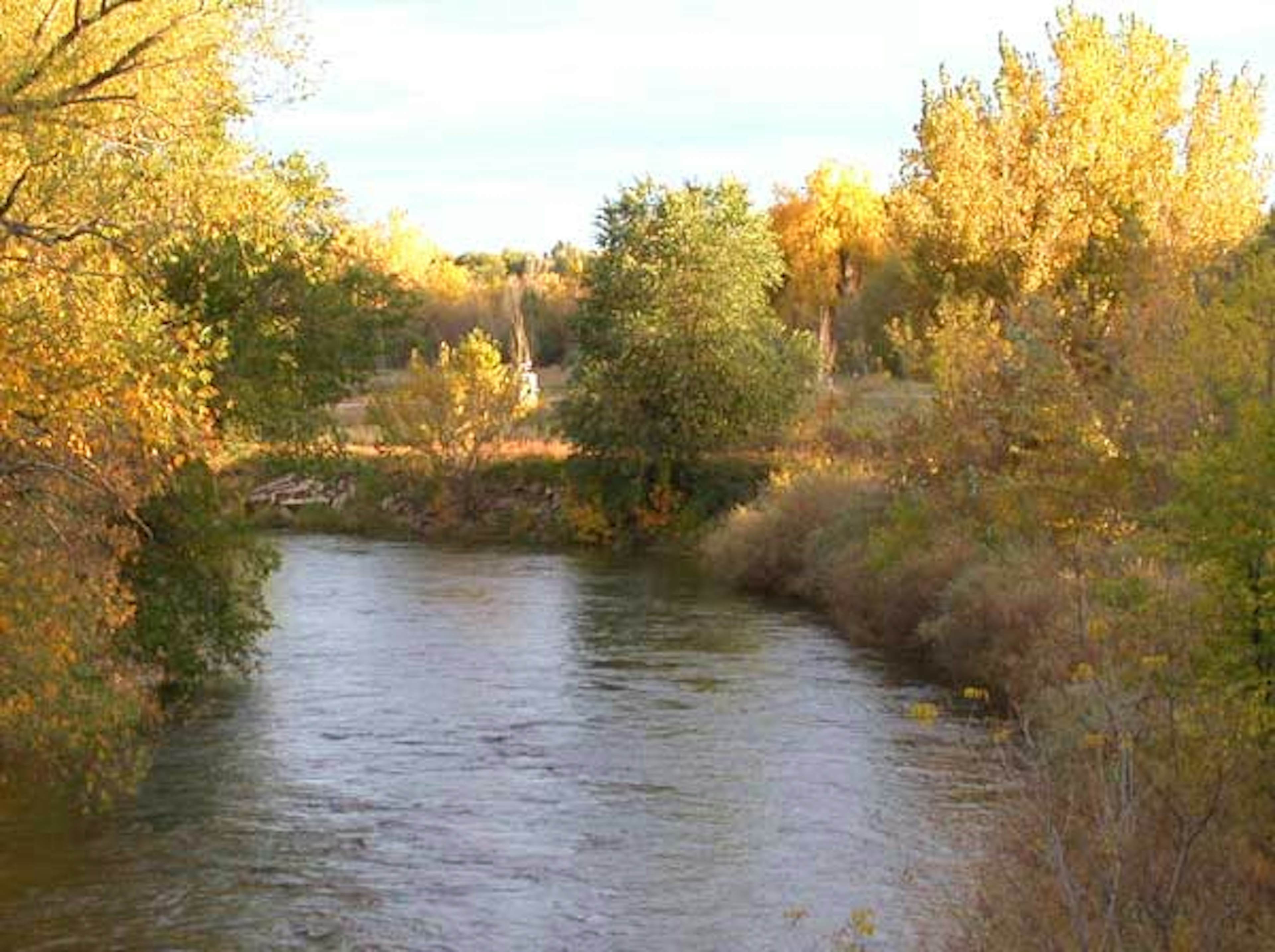 Log Lane Village image