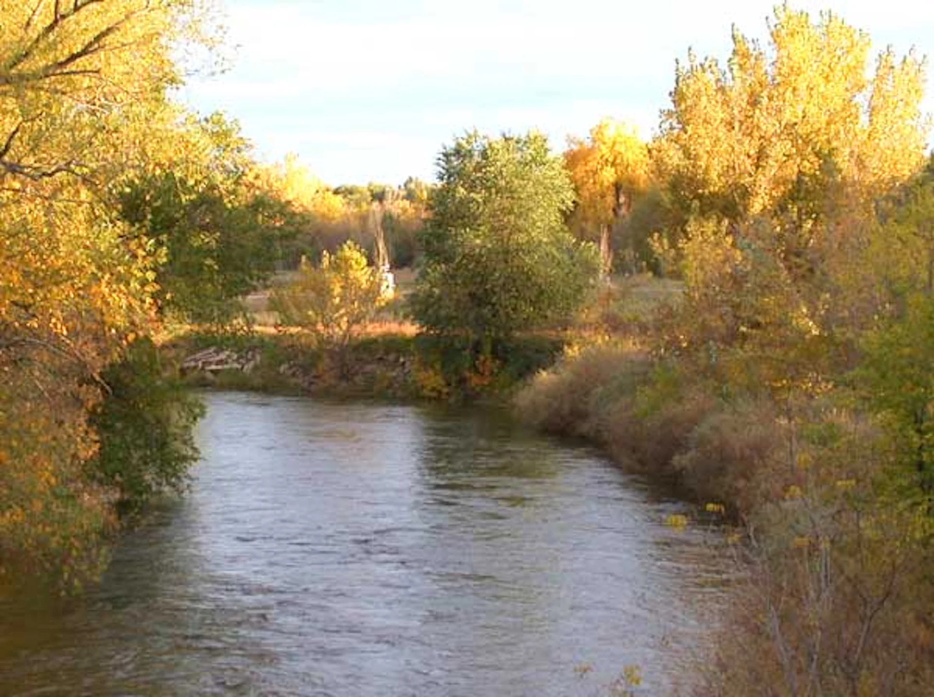 Schnitzeljagden in Fort Collins, CO