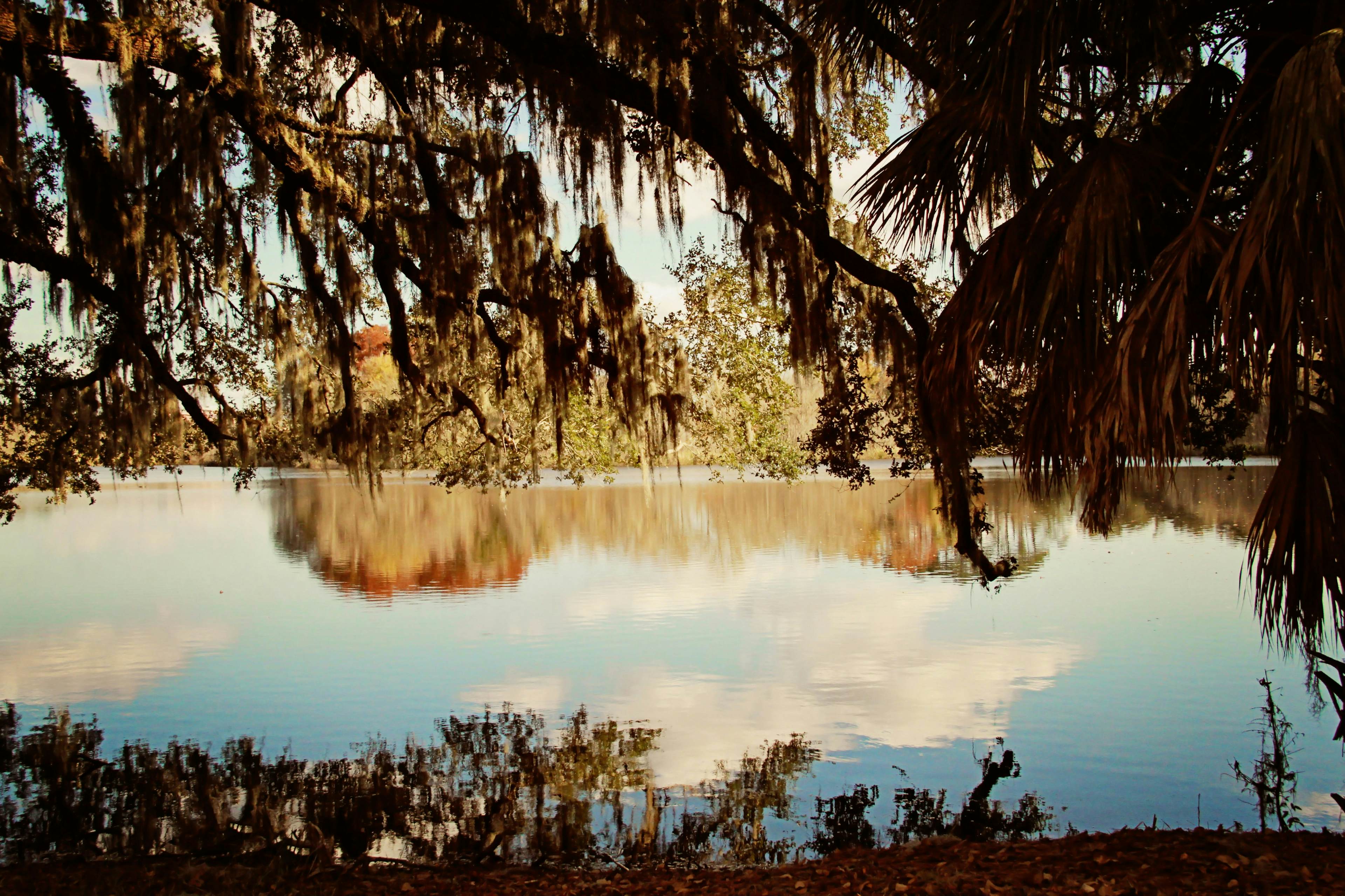 Gainesville, FL image