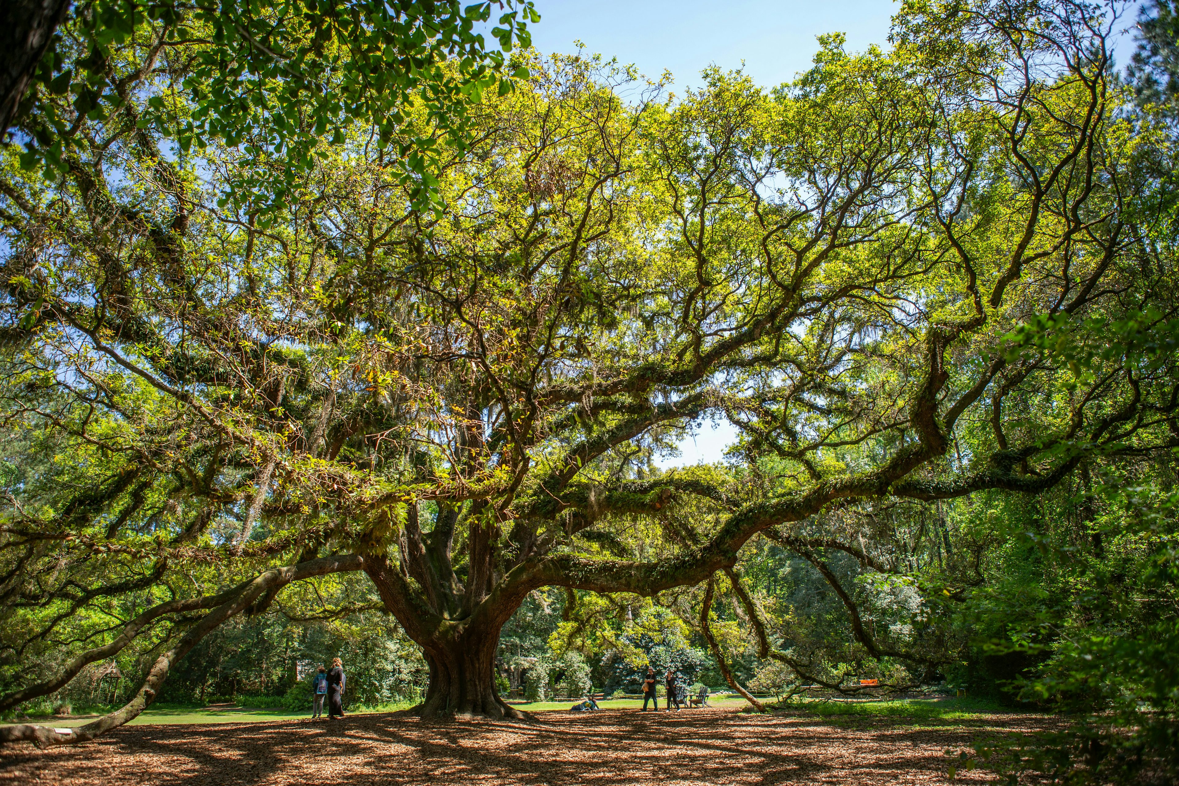 Ghost tours in Tallahassee