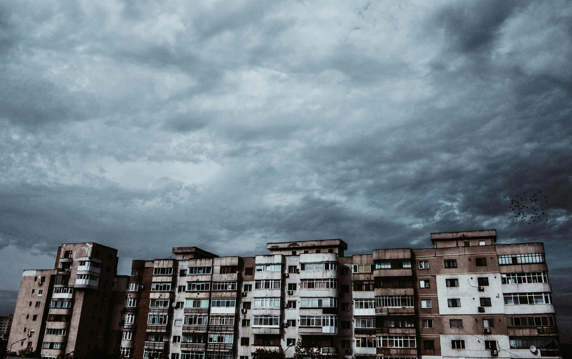 Chasses au trésor à Buzău