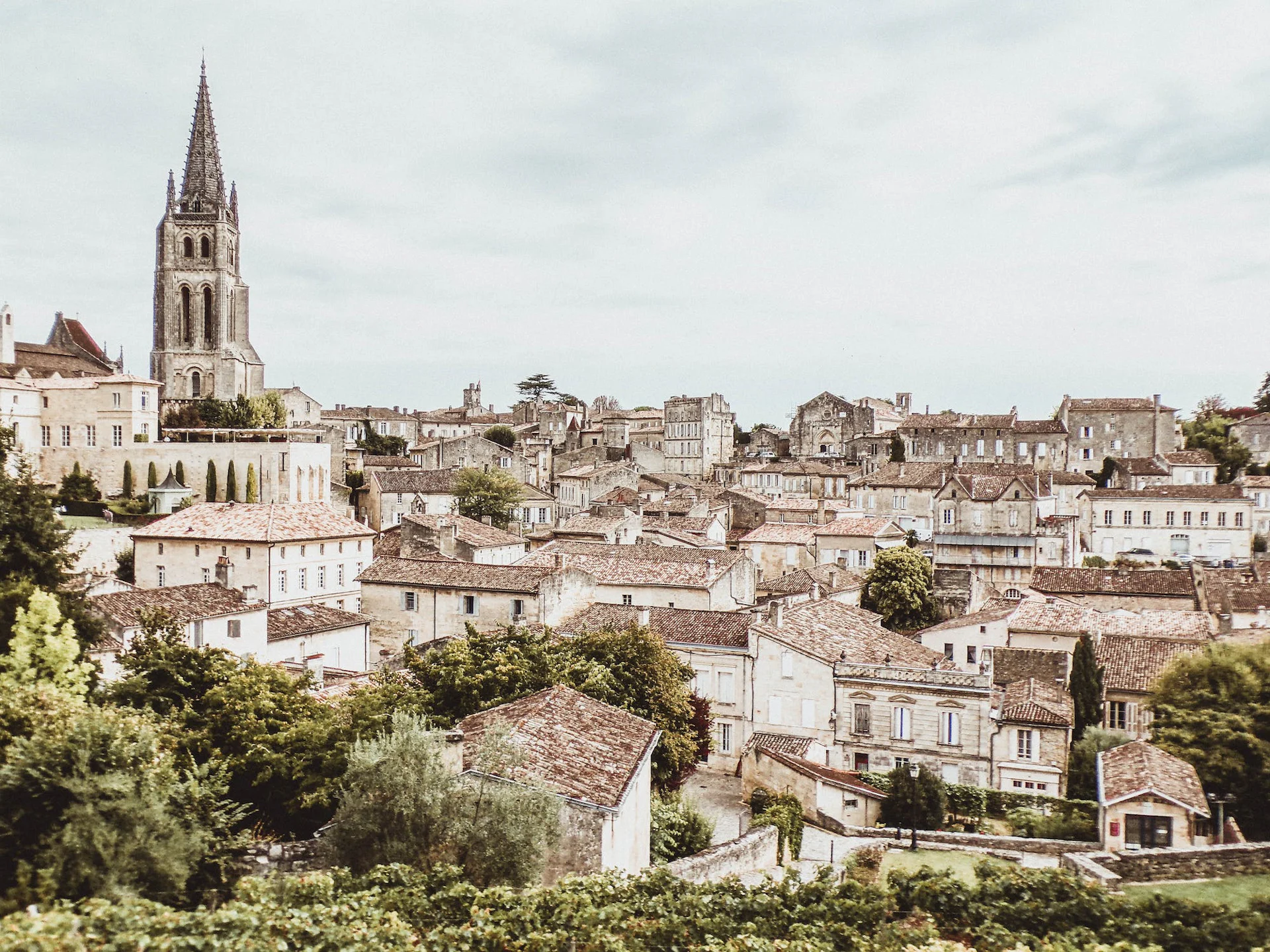 Spacery w Saint-Emilion