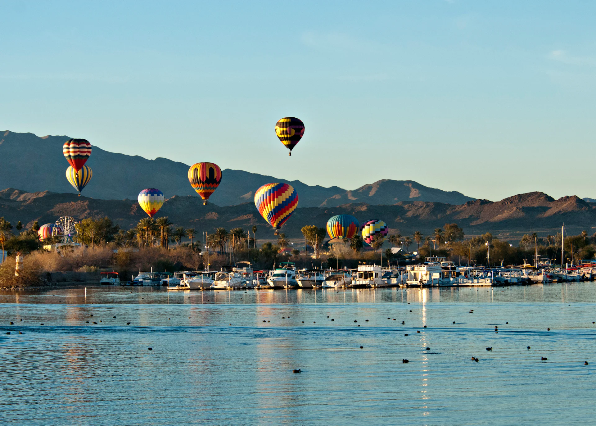 Spacery w Lake Havasu City