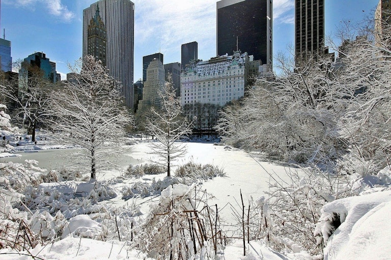 Things to do in the Snow in New York City