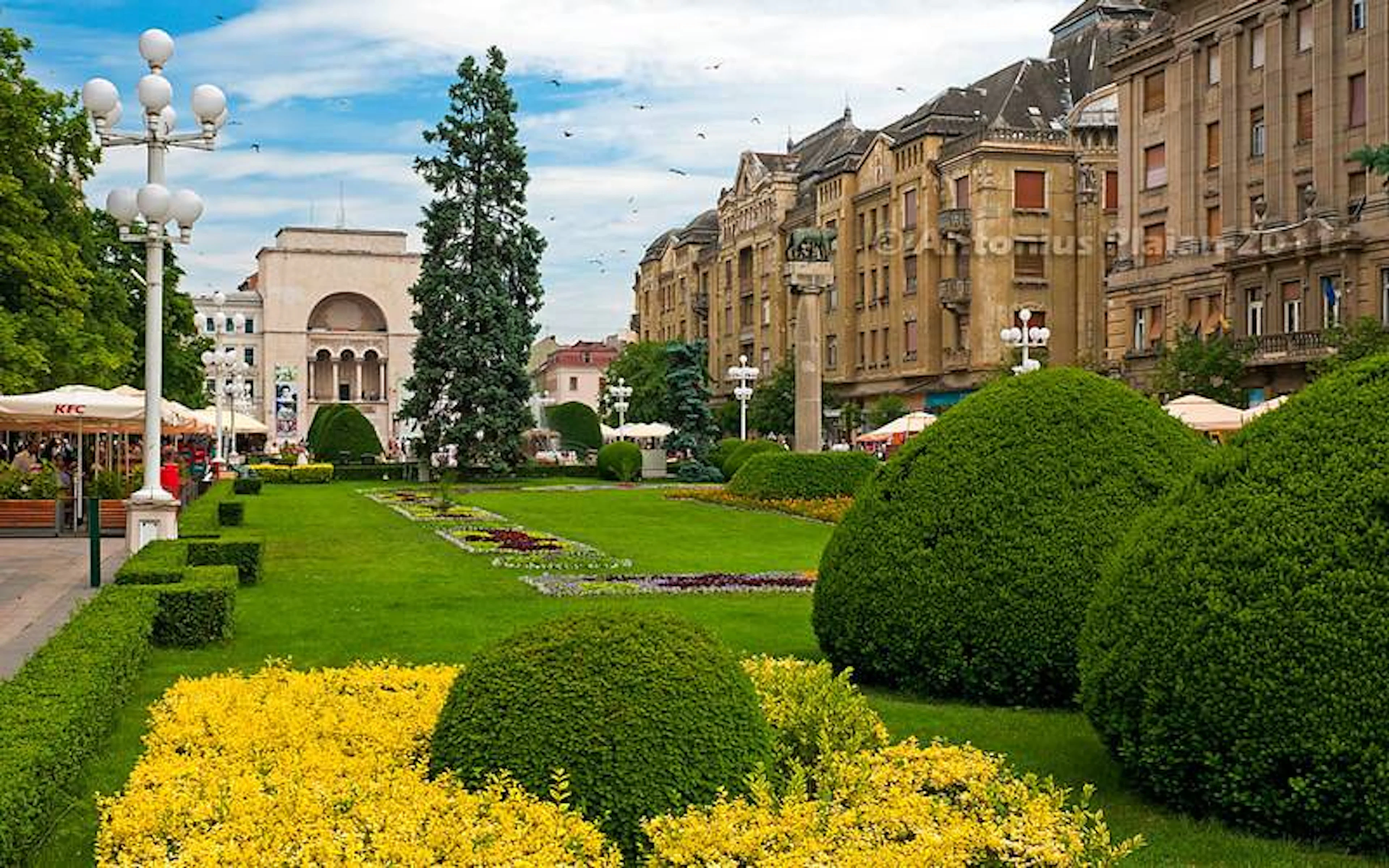 Walking tours in Timisoara