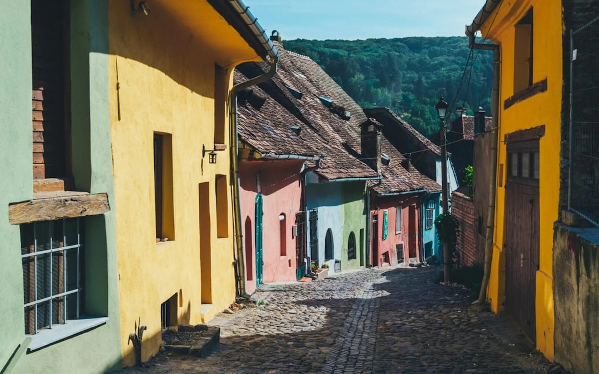 Scavenger Hunts in Sighisoara