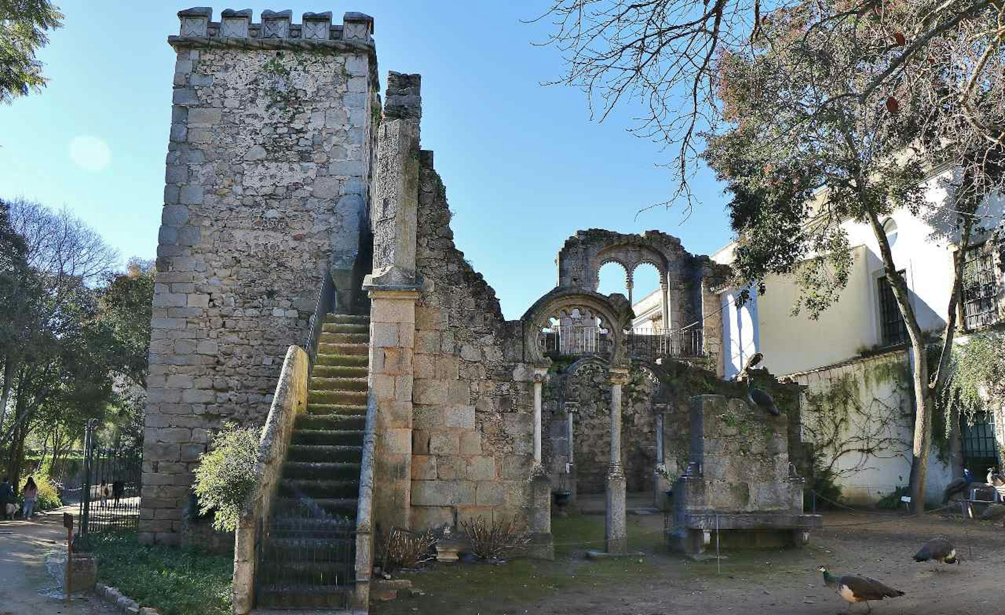 Walking tours in Evora