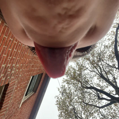 Player photo from Family Scavenger Hunt: Bunny vs. Fox in Baltimore walking tour in Baltimore