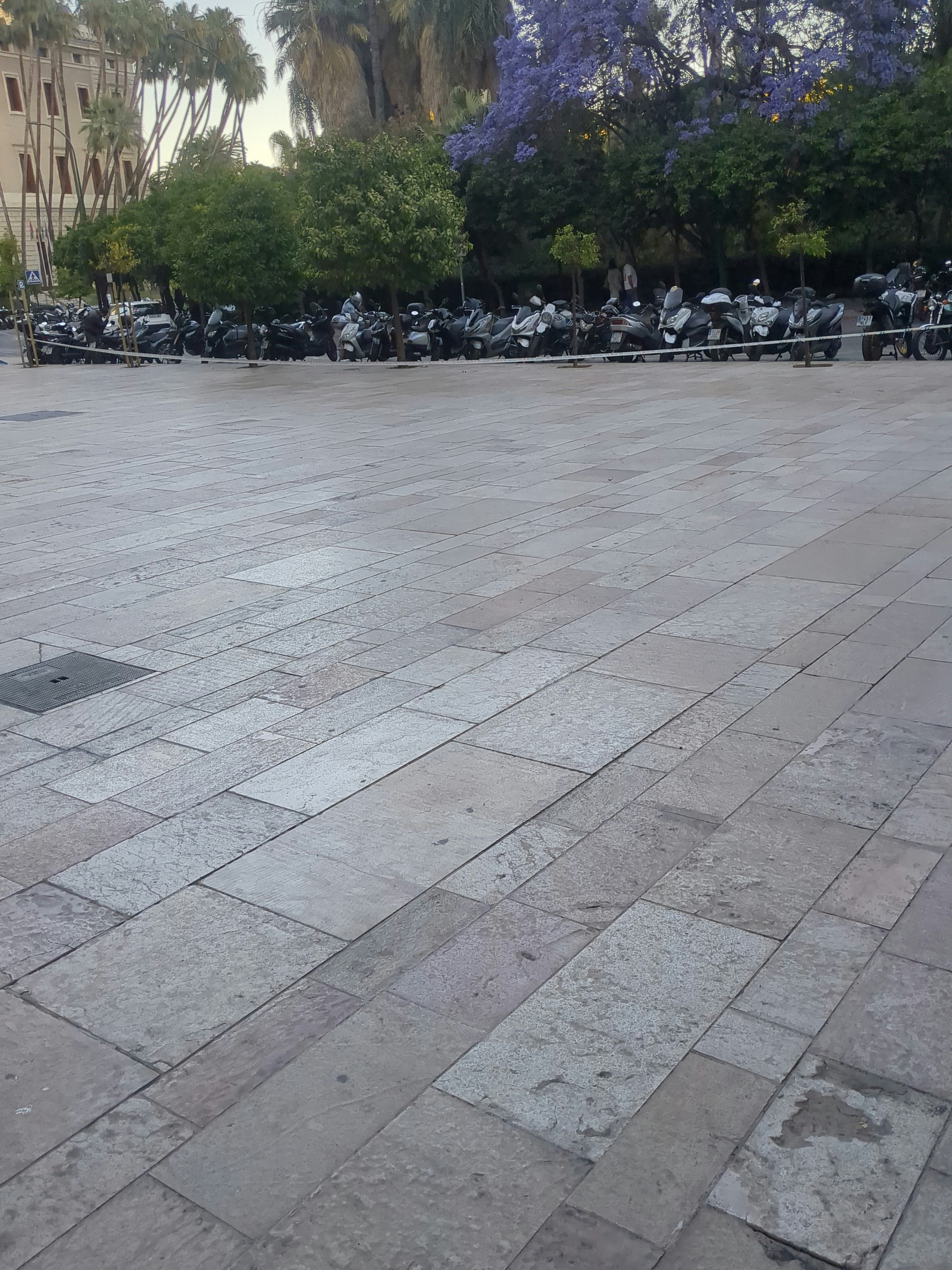 Photo d’un joueur sur Enquête sur Meurtre : Résolvez le Cas à Malaga