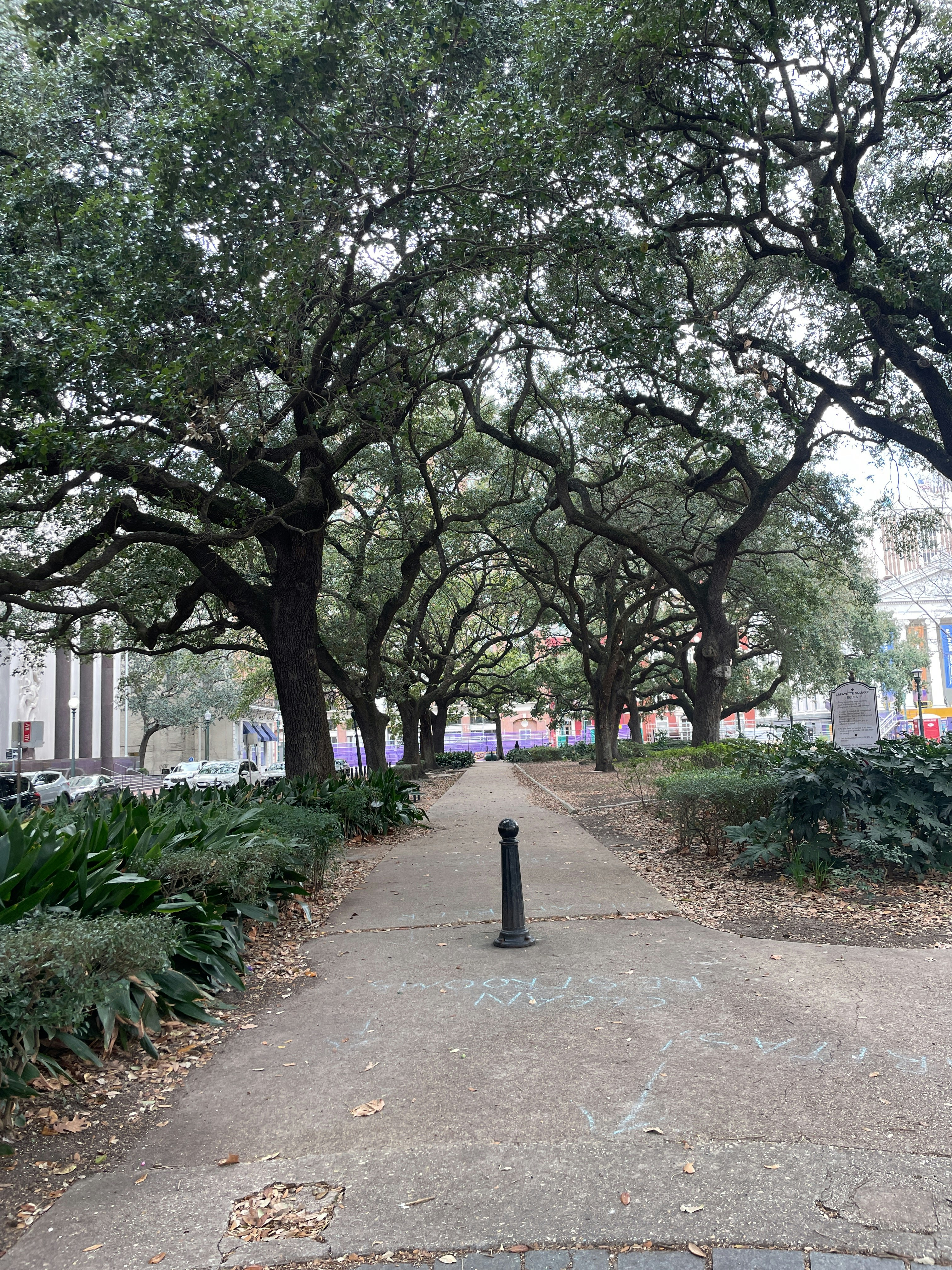 Player photo from Kid Quest: Solve the case of the lost senses in New Orleans
