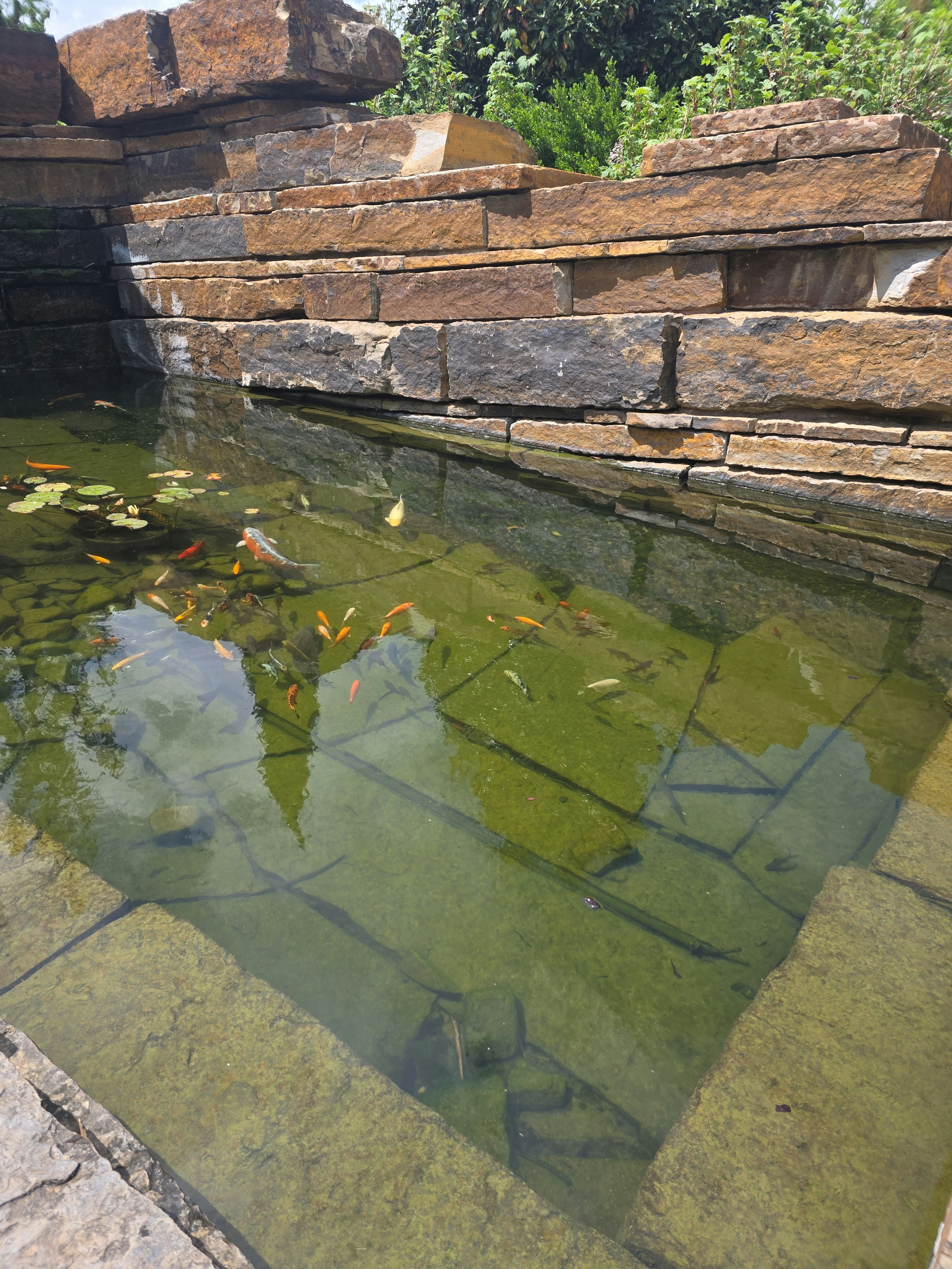 Player photo from Kid Quest: Solve the case of the lost senses in Tulsa