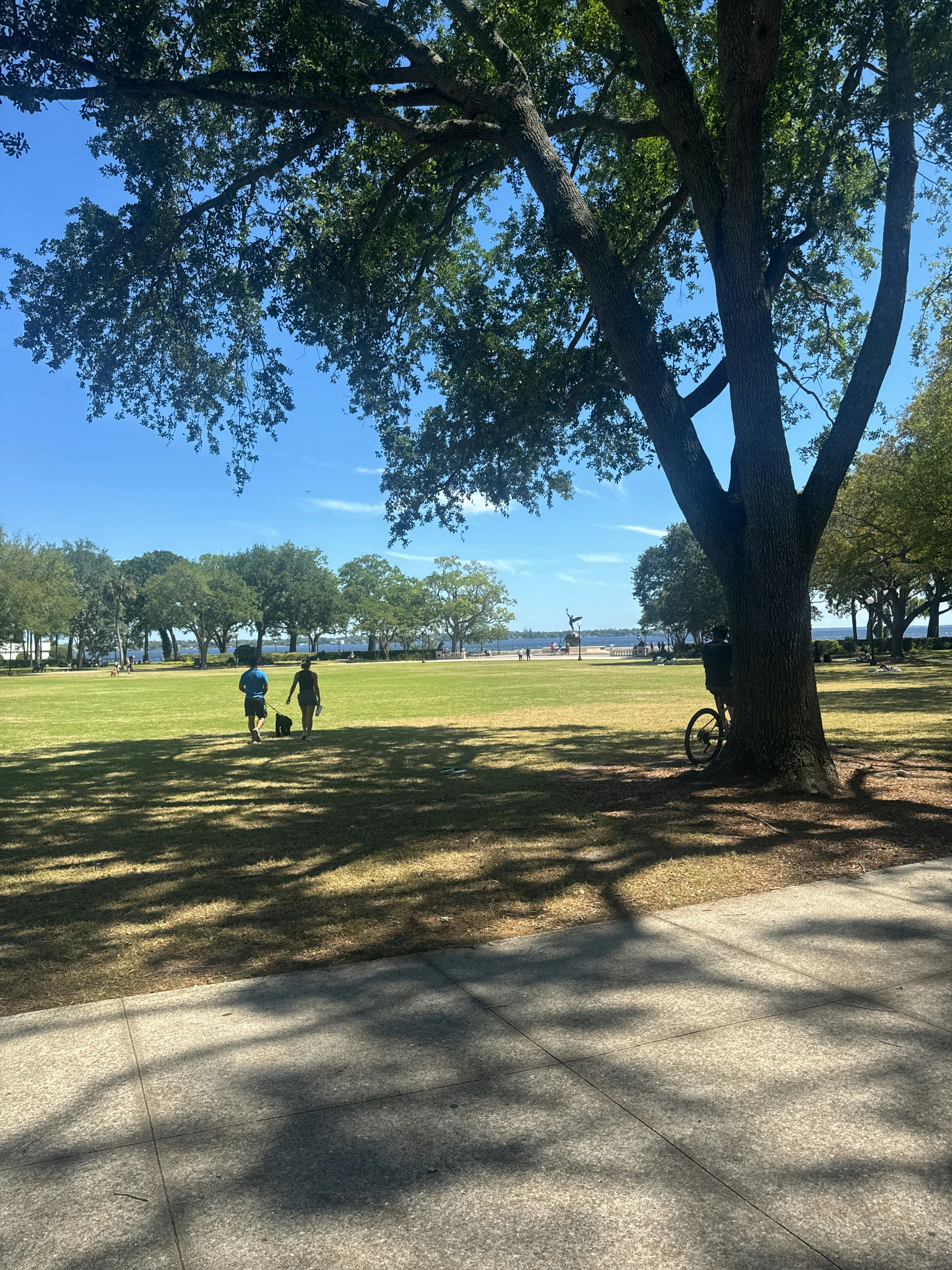 Player photo from Murder Mystery: Death in the Shadows in Riverside, Jacksonville