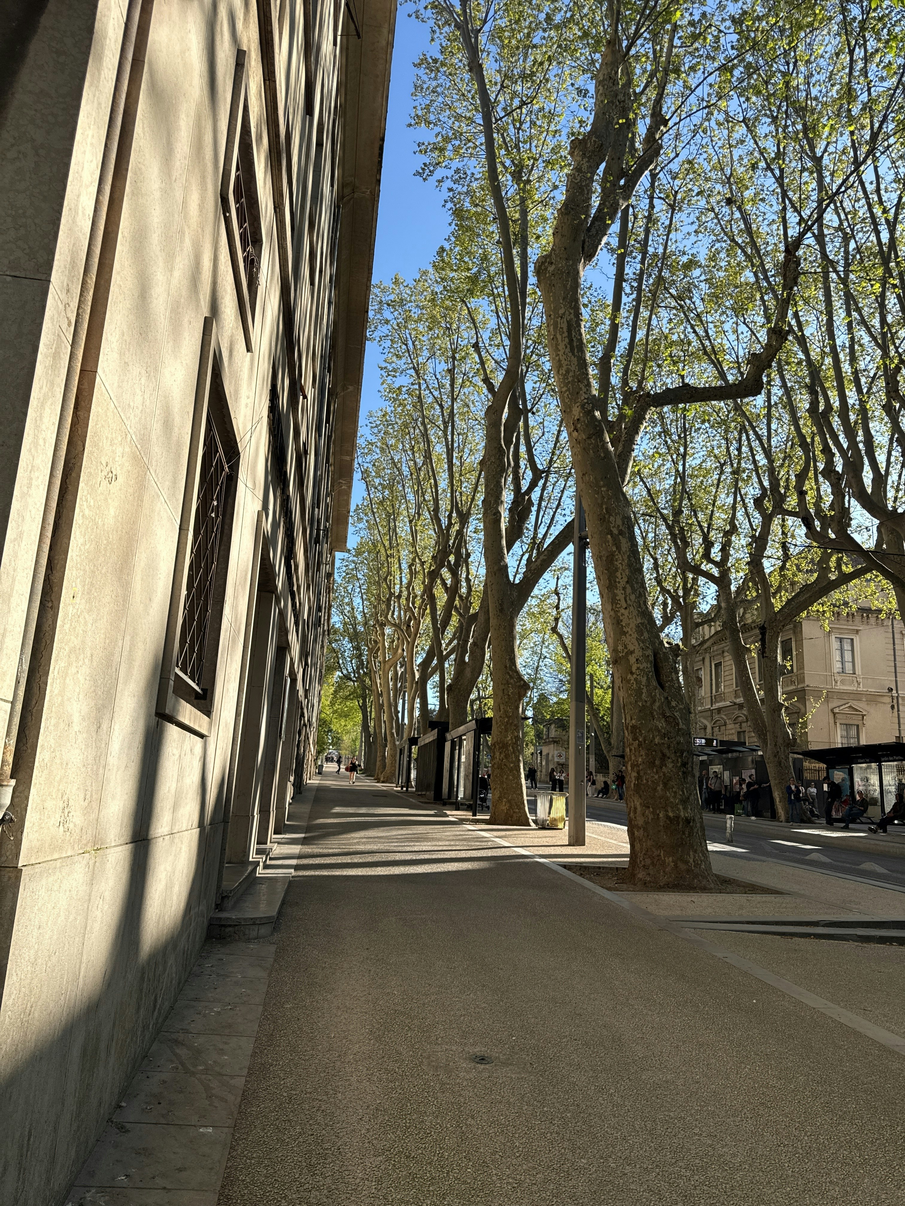 Player photo from Murder Mystery: Death in the Shadows in Montpellier