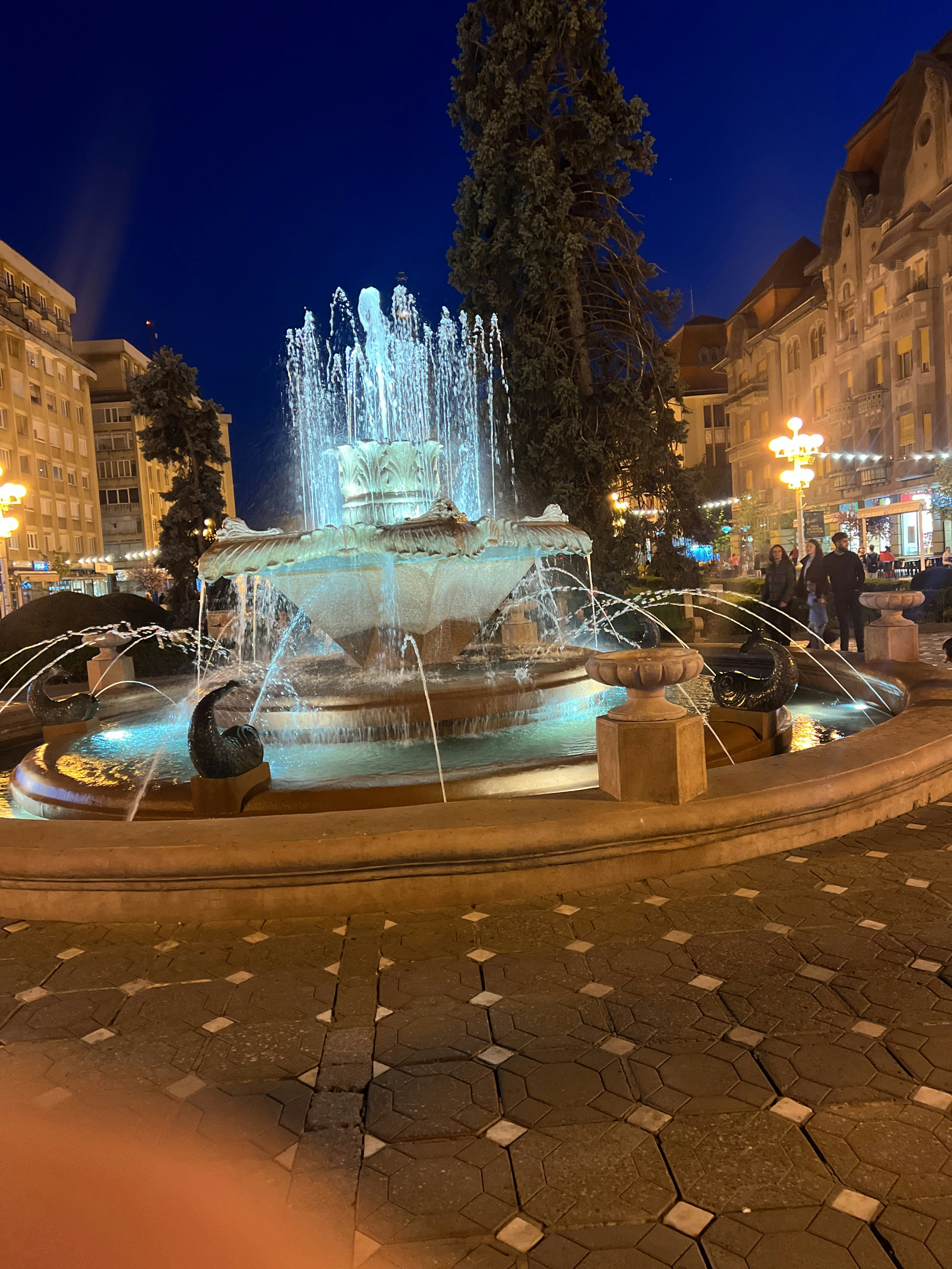 Player photo from Murder Mystery: Death in the Shadows in Timisoara