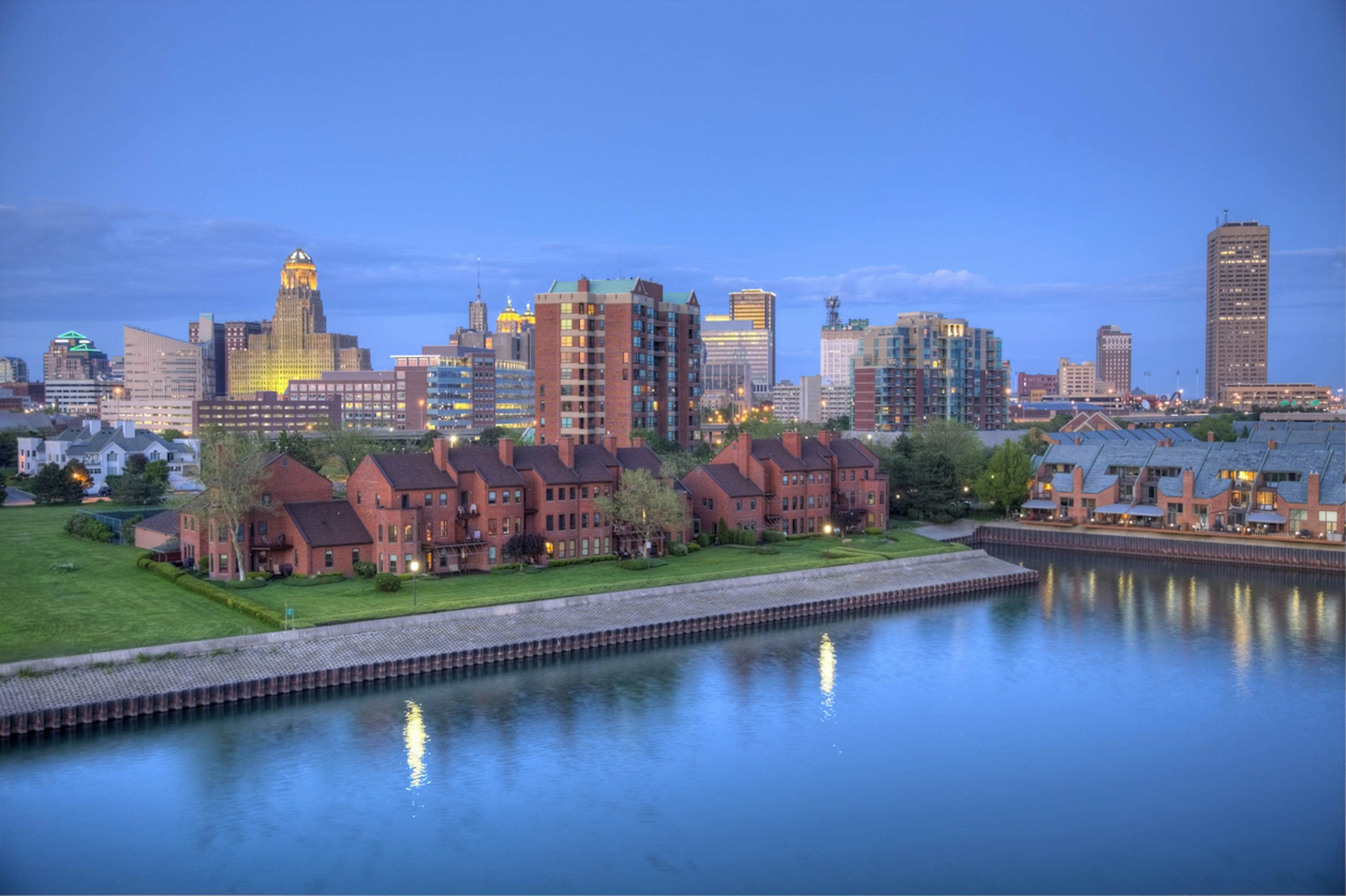 Buffalo image