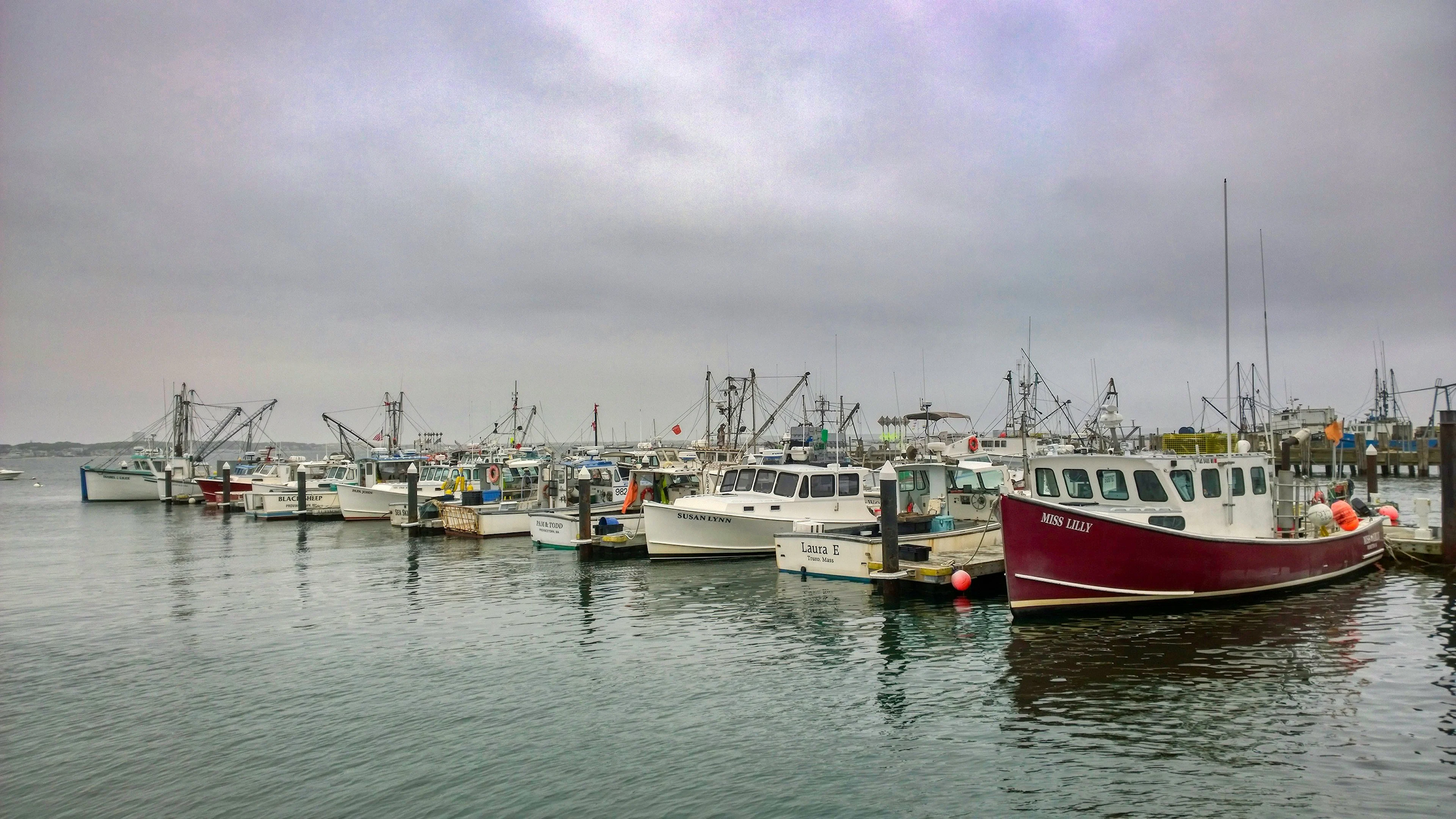 Scavenger Hunts in Provincetown