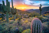 Scottsdale