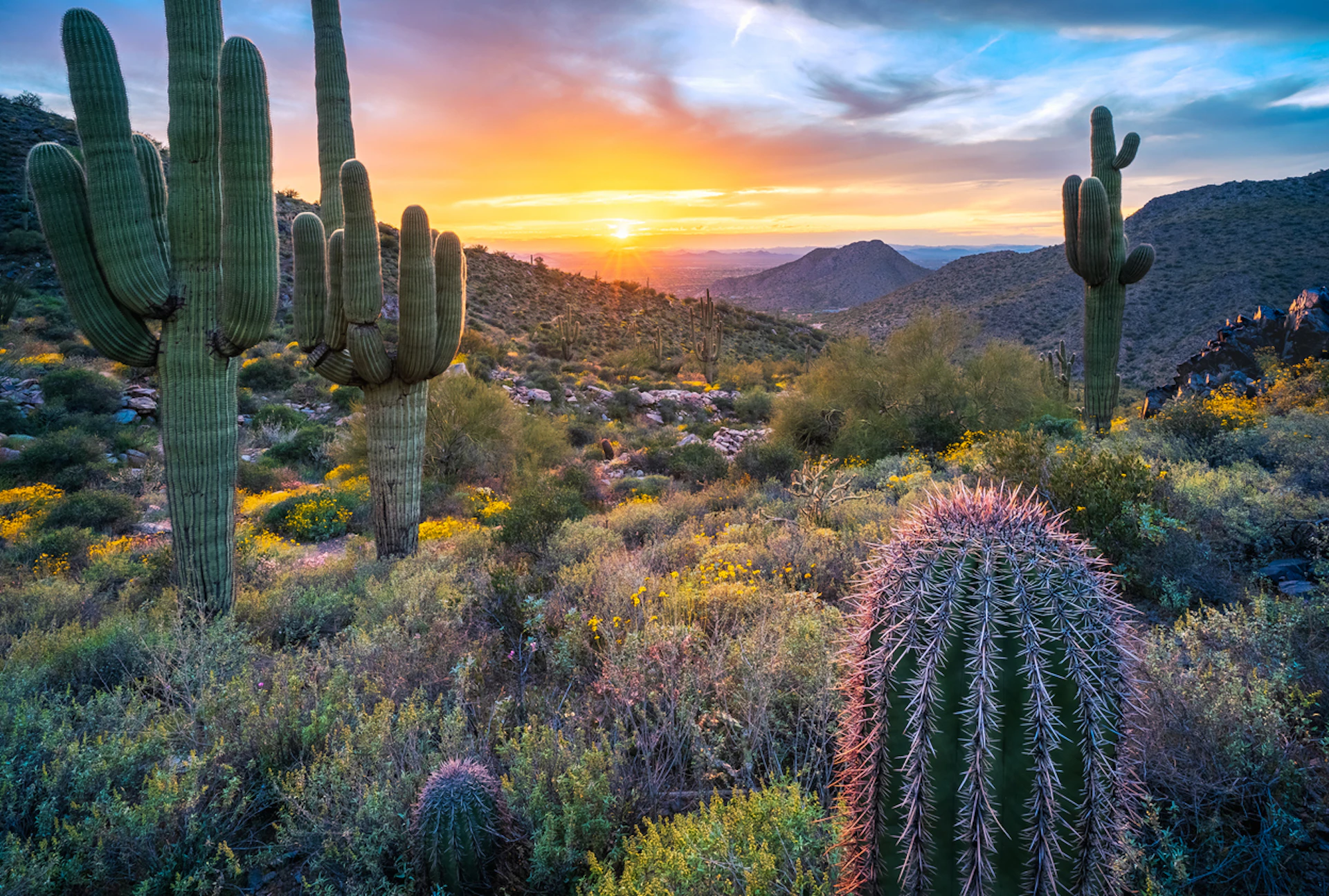 Scottsdale