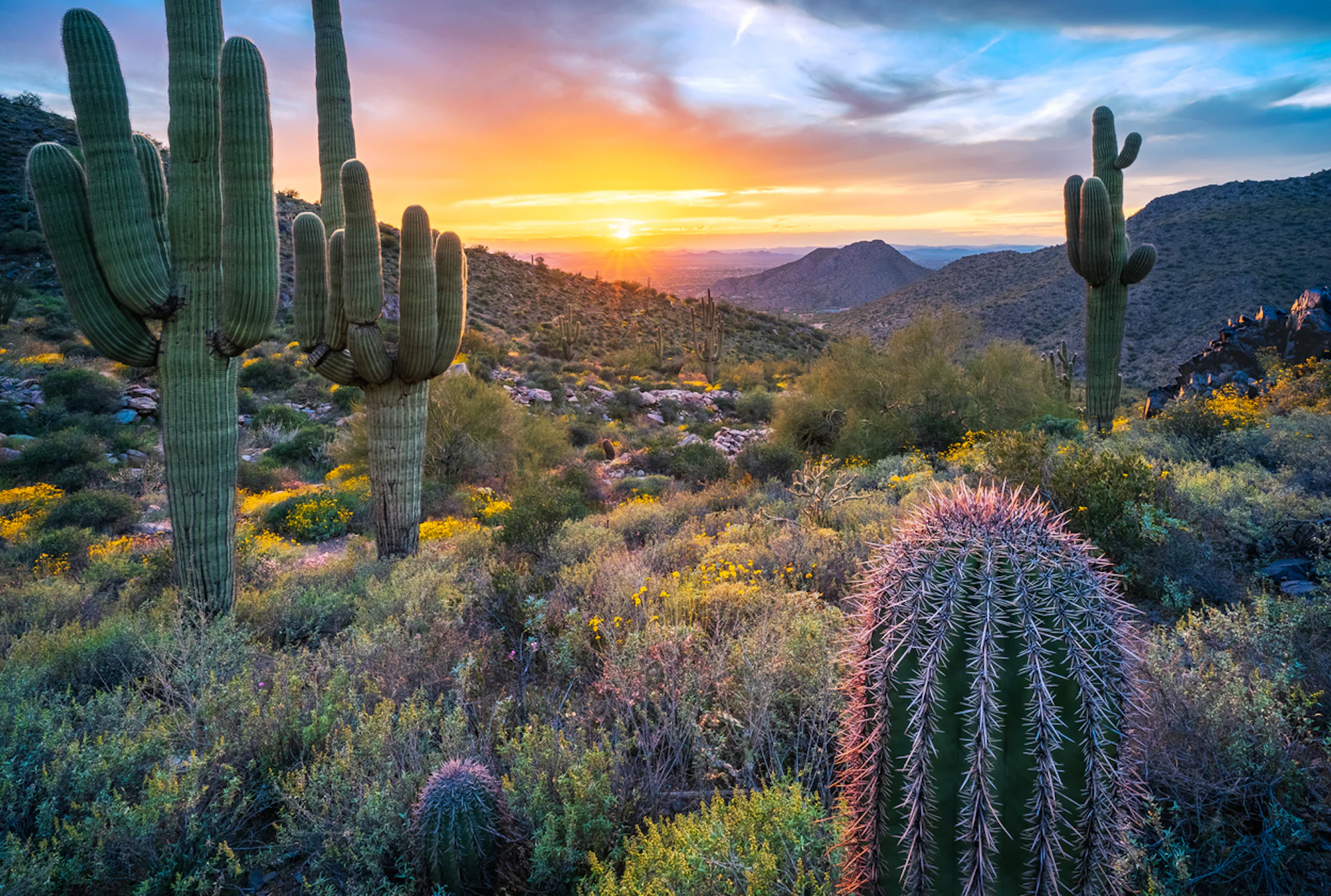 Walking tours in Scottsdale
