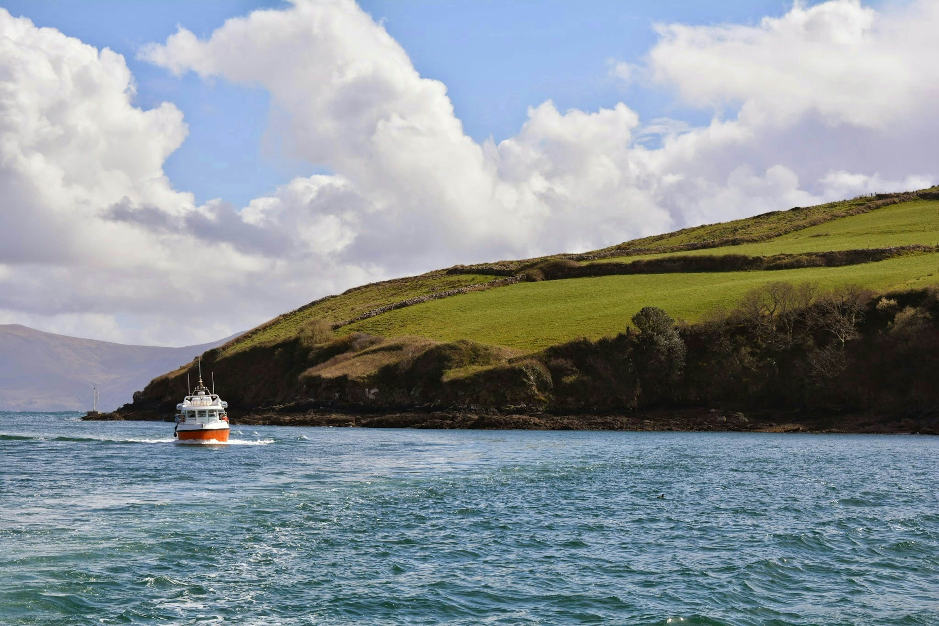 Dingle image