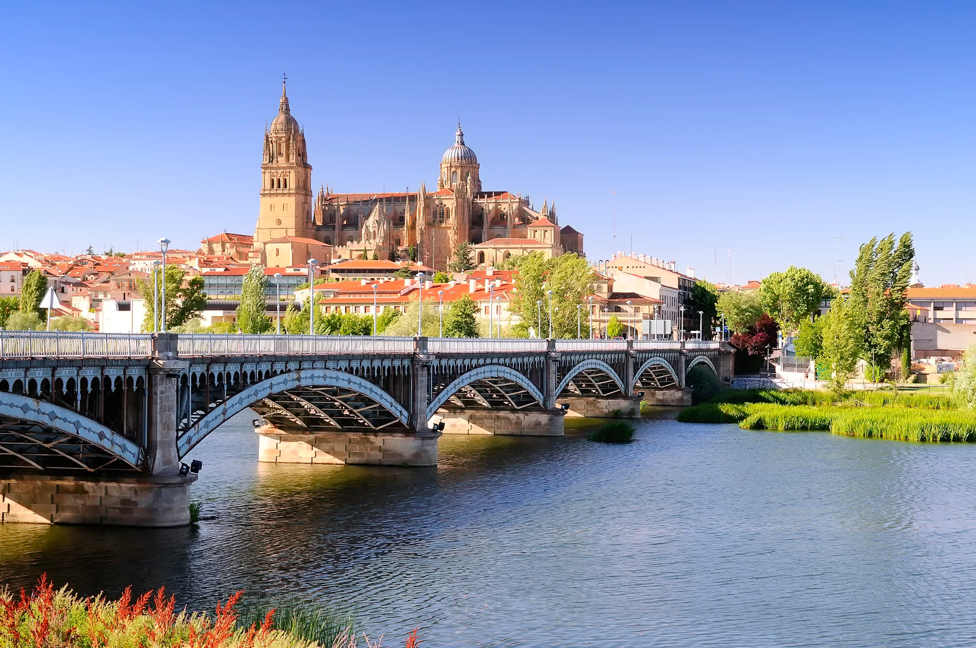 Walking tours in Salamanca