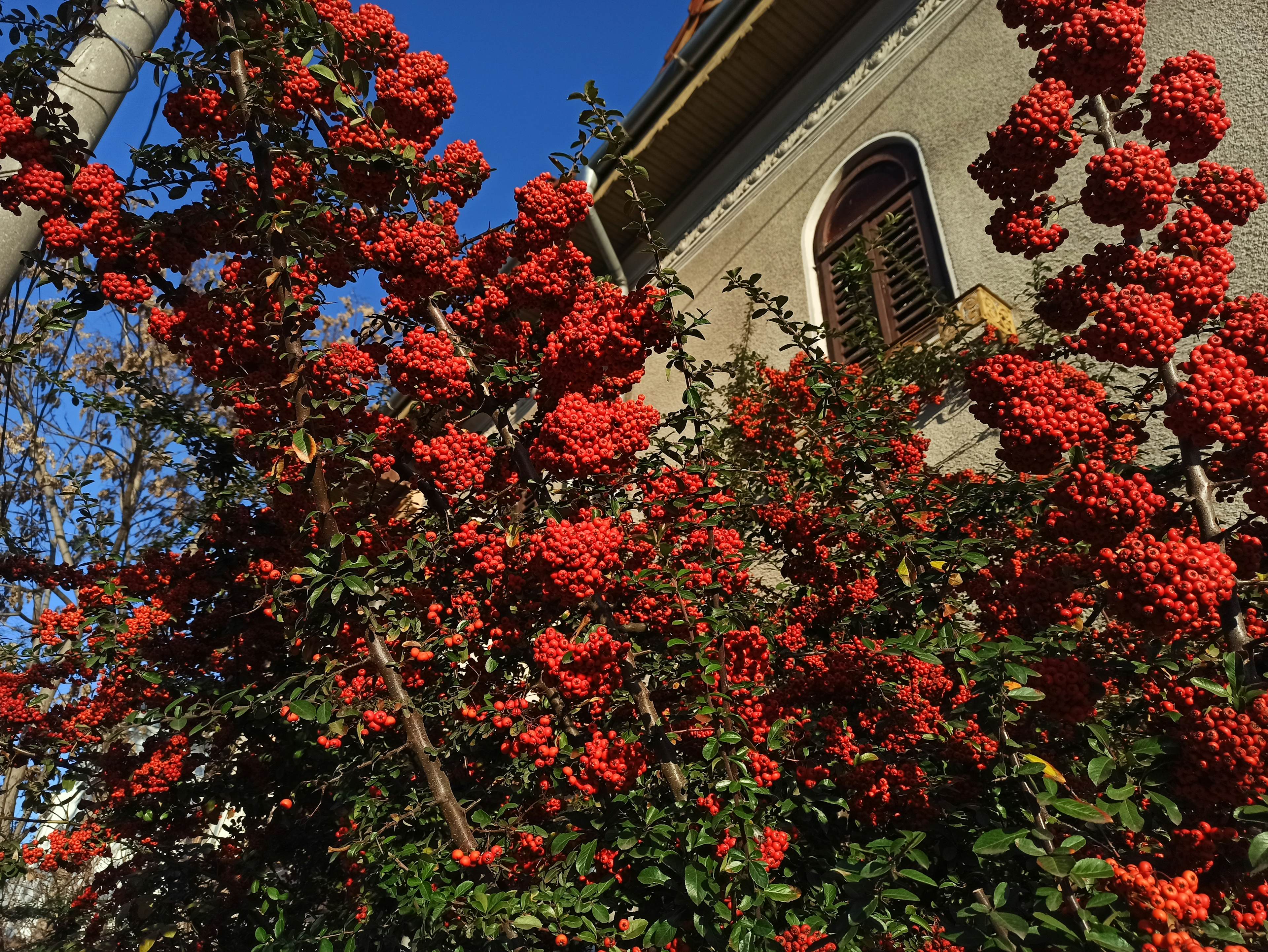 Romantic Bucharest: Love in Floreasca image 1