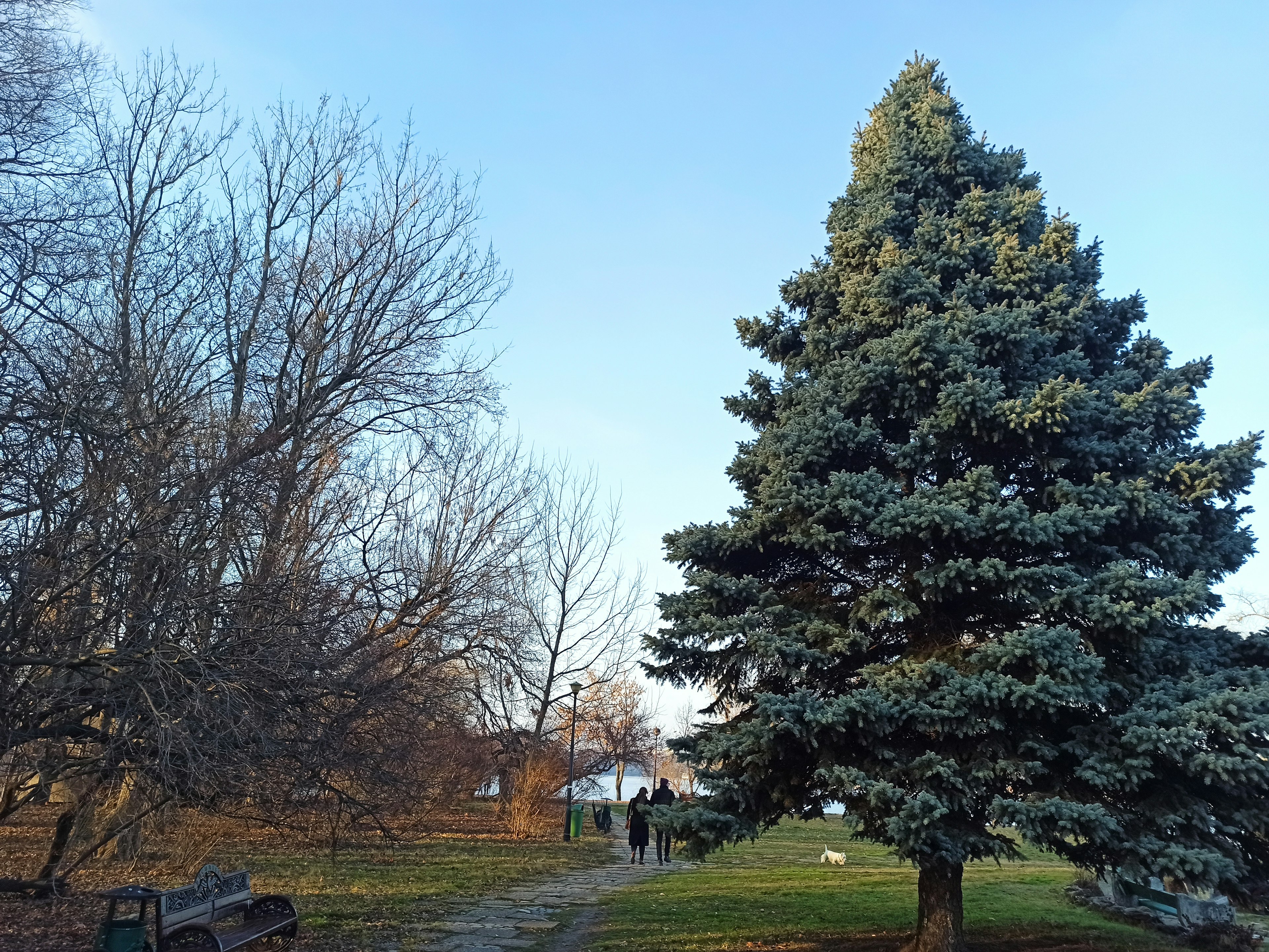 Romantic Bucharest: Les Jardins