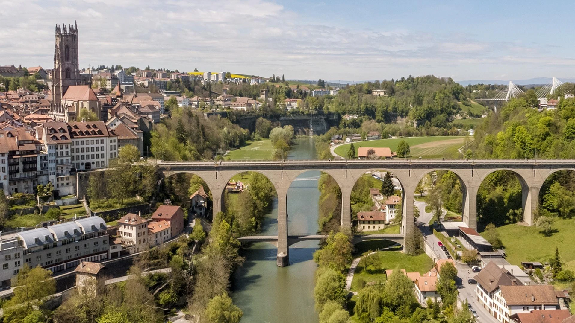 Fribourg: Hunting the flying dragon 