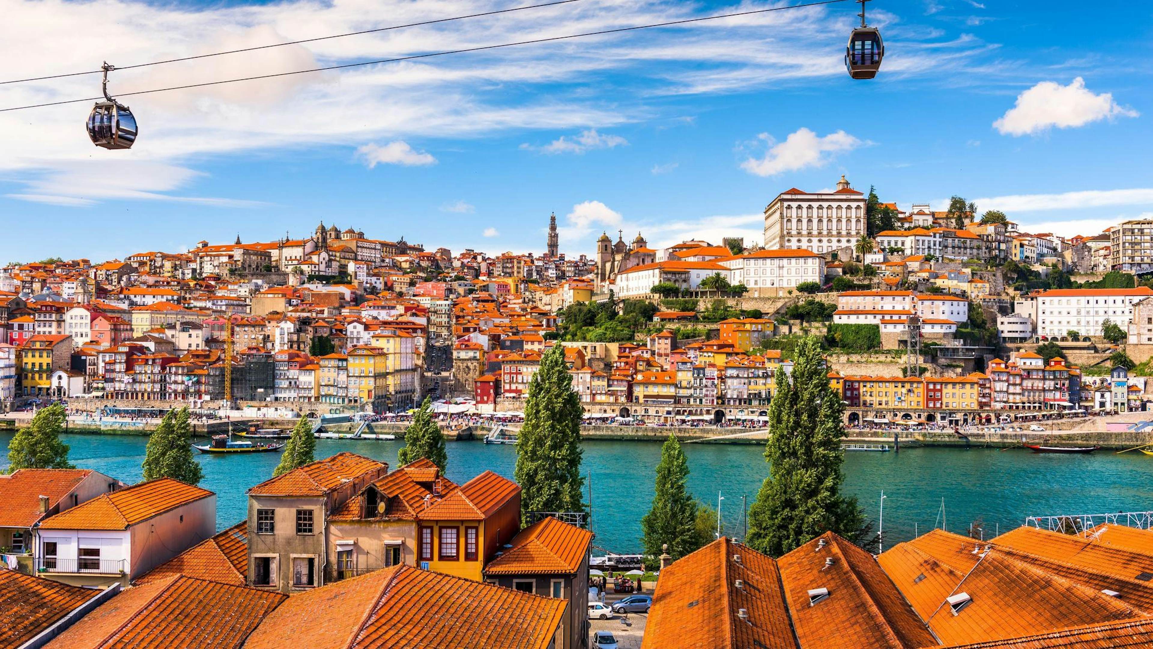 Porto: Wine Trails & Tasting Tales image