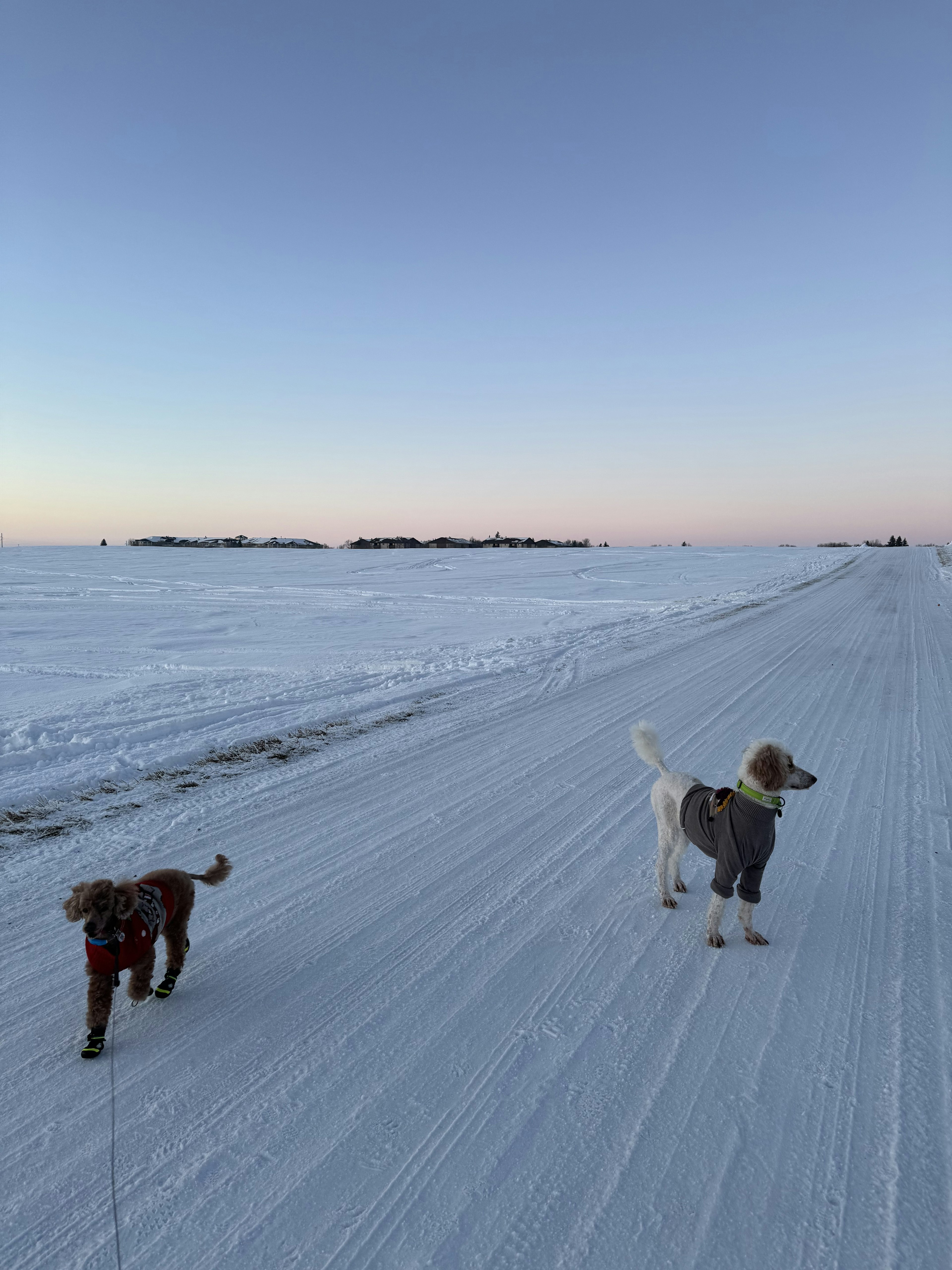 Farmer Quest third image