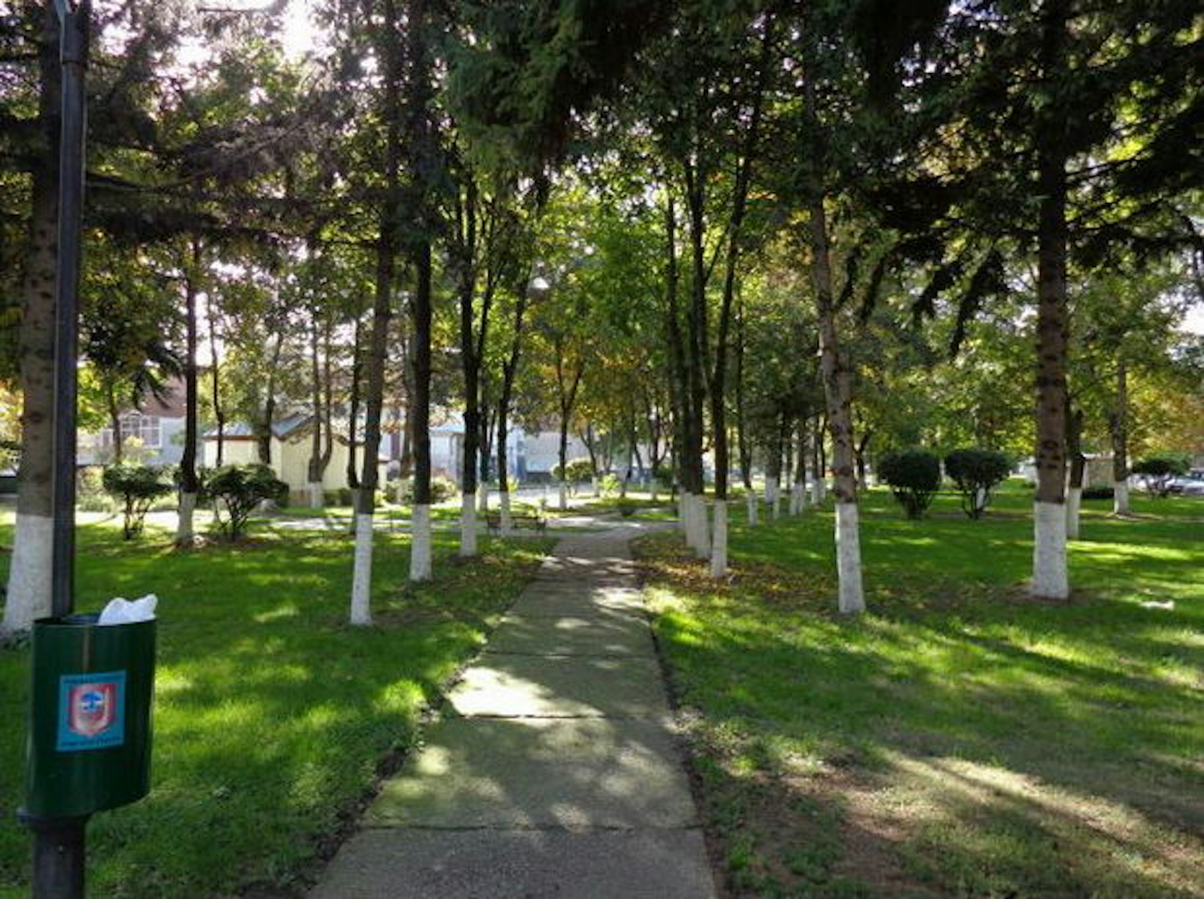 Quest image more than 2