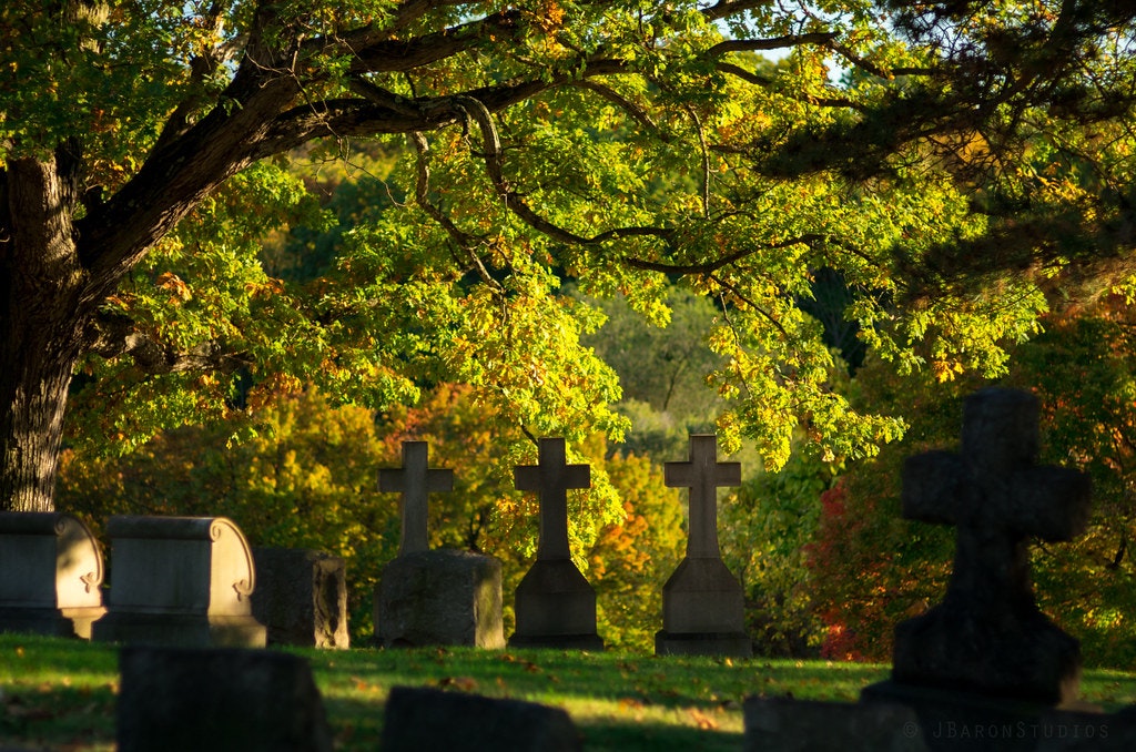 Branches and Bones - The Secrets of Homewood Cemetery, Pittsburgh image 1