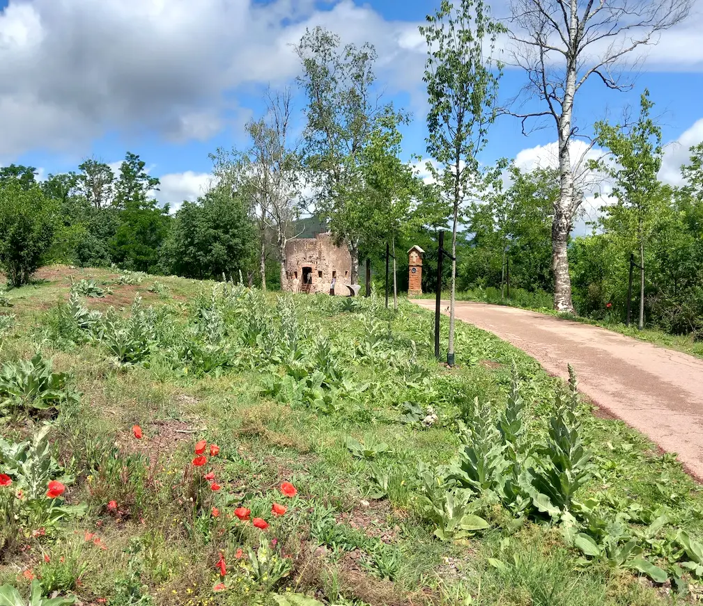 Explore the Montsacopa Volcano in Olot. Family-friendly game. image 1