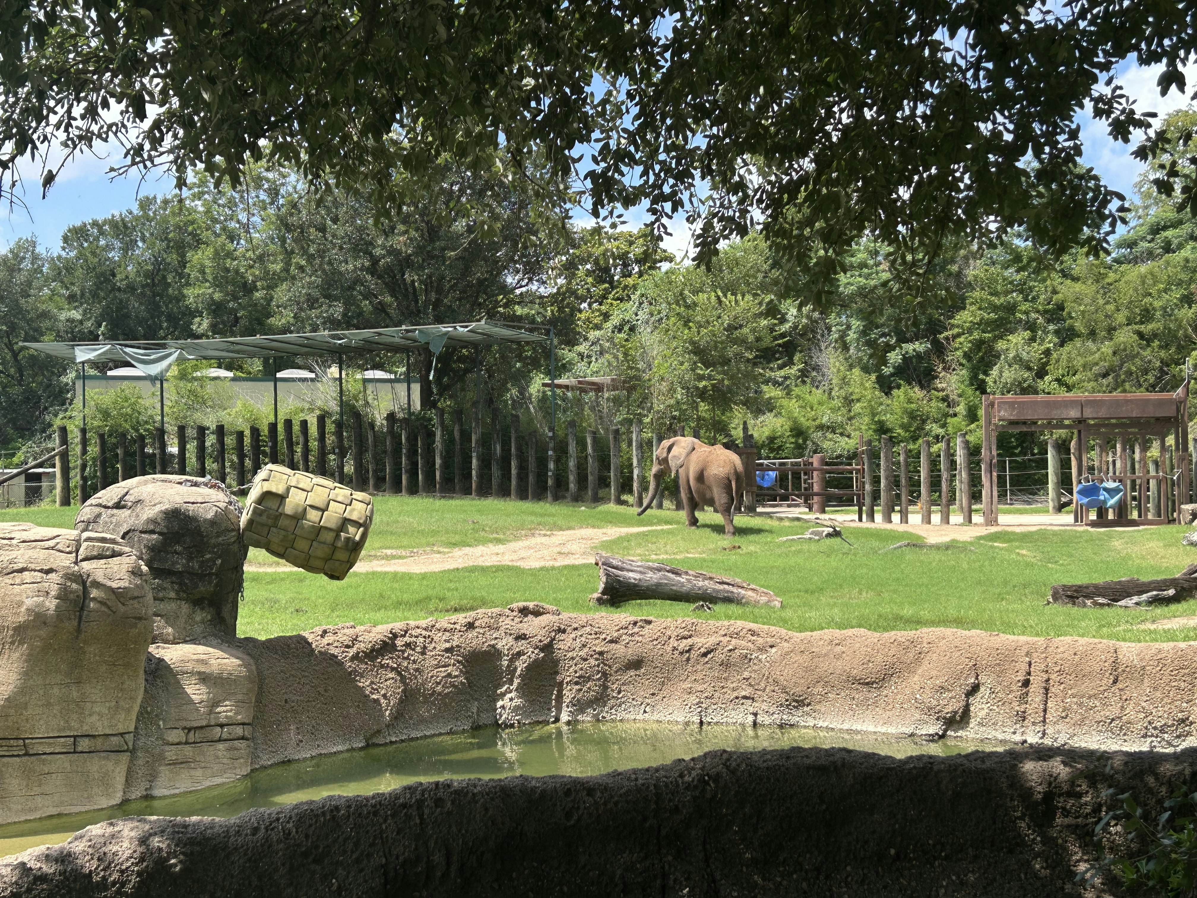 Cameron Park Zoo, Waco: The Lost Fragments cover