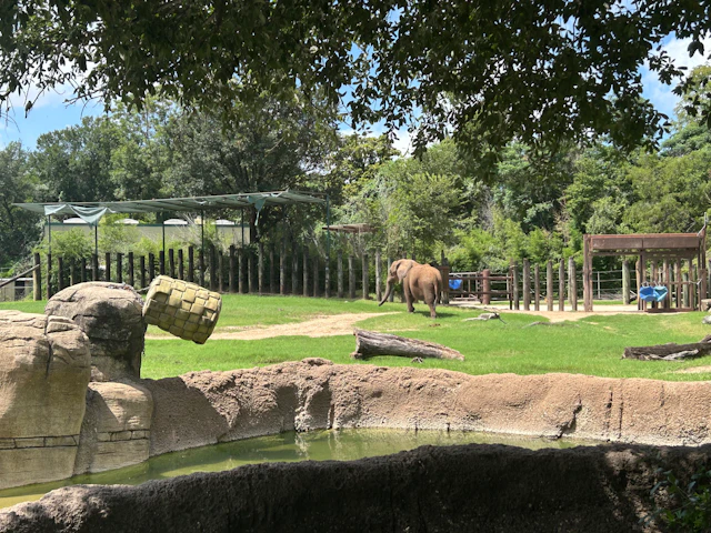 Cameron Park Zoo, Waco: The Lost Fragments